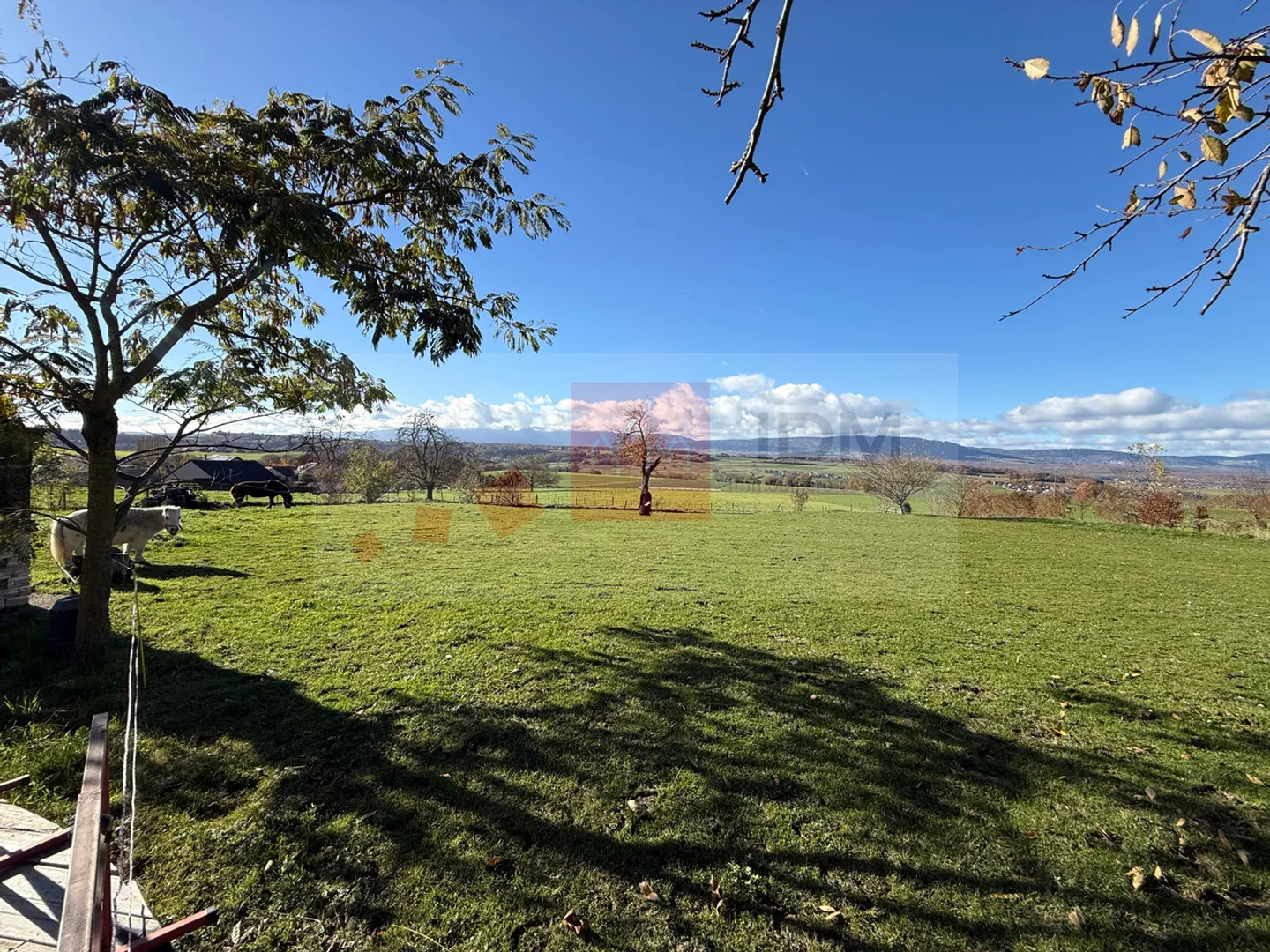 Magnifique propriété de 10,5 pièces, offrant un agréable cadre de vie  - Photo 4 sur 5