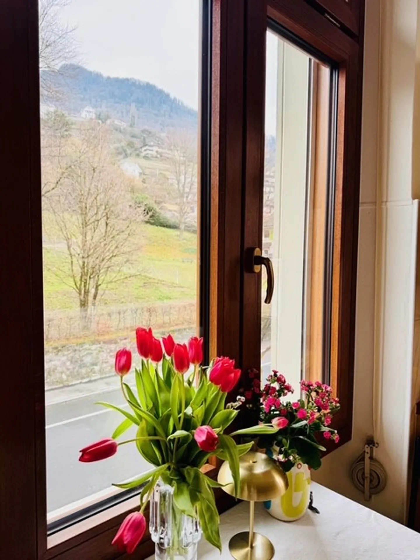 Bell'appartamento con una vista mozzafiato sul lago e sulle montagne. - Foto 5 di 11