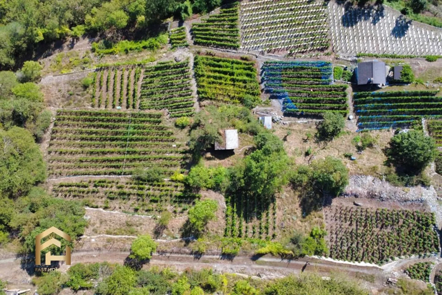 Your retreat between vines and sun - charming vineyard land in Stald - Photo 2 of 10