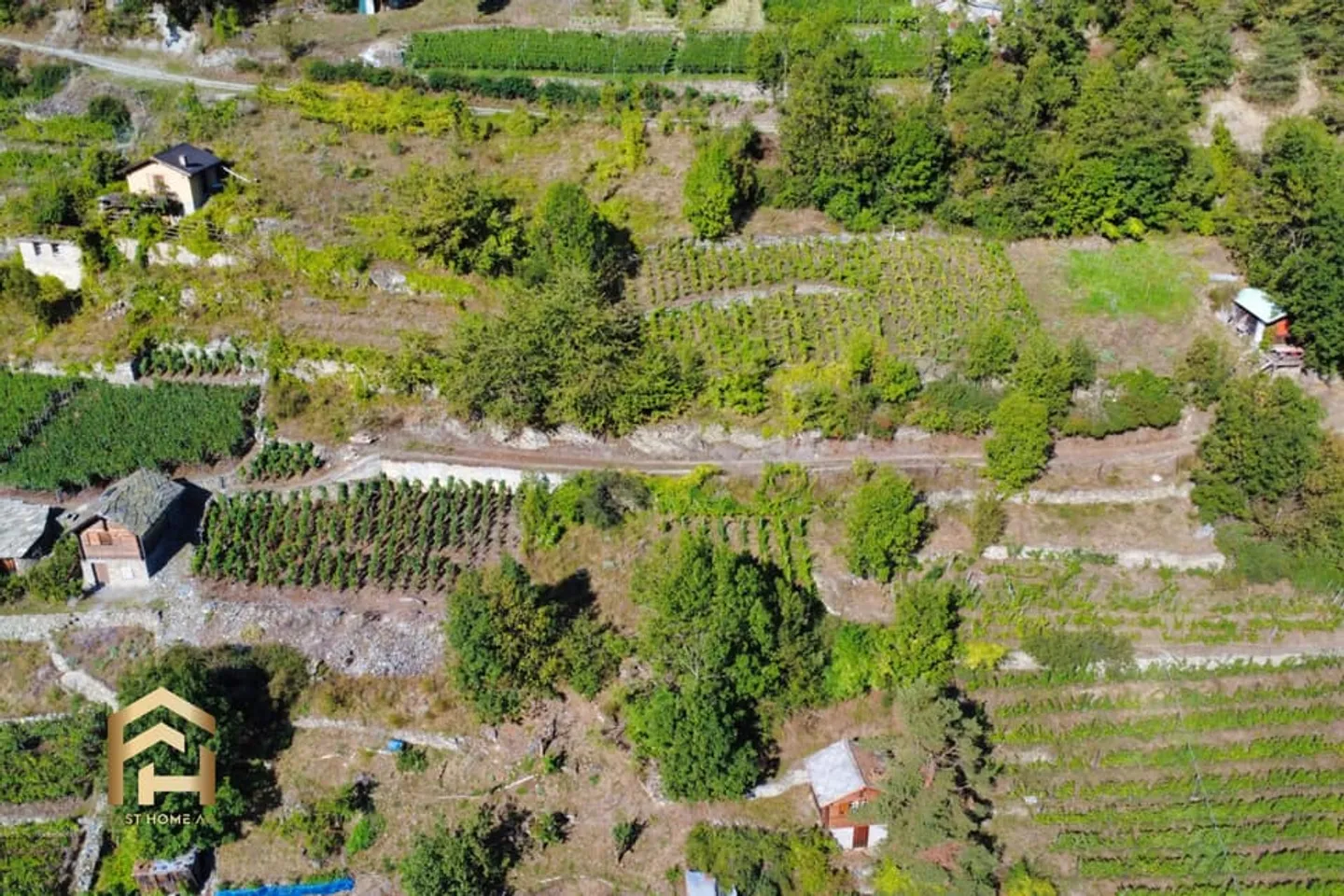 Your retreat between vines and sun - charming vineyard land in Stald - Photo 3 of 10