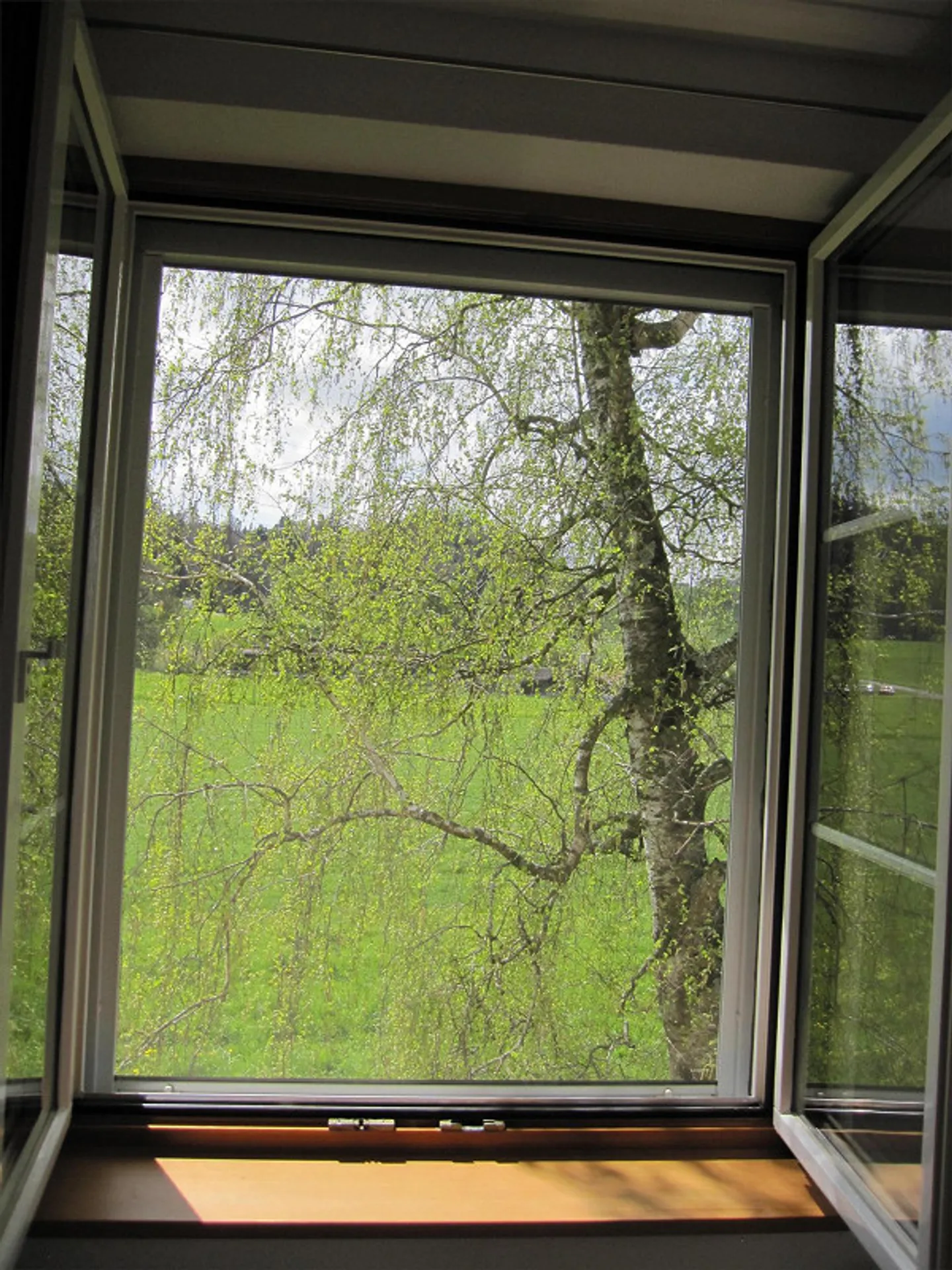 Appartamento 2 1/2 locali con balcone in un contesto rurale non edificabile - Foto 11 di 14