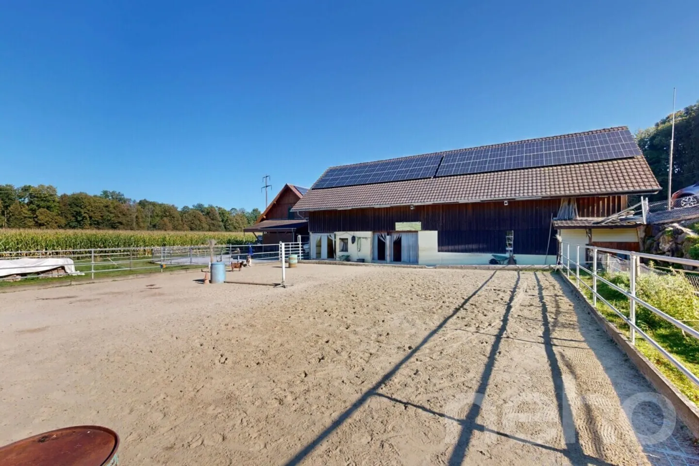 Fattoria diversificata con spazio abitativo e allevamento di cavalli a Bischofszell - Foto 10 di 12