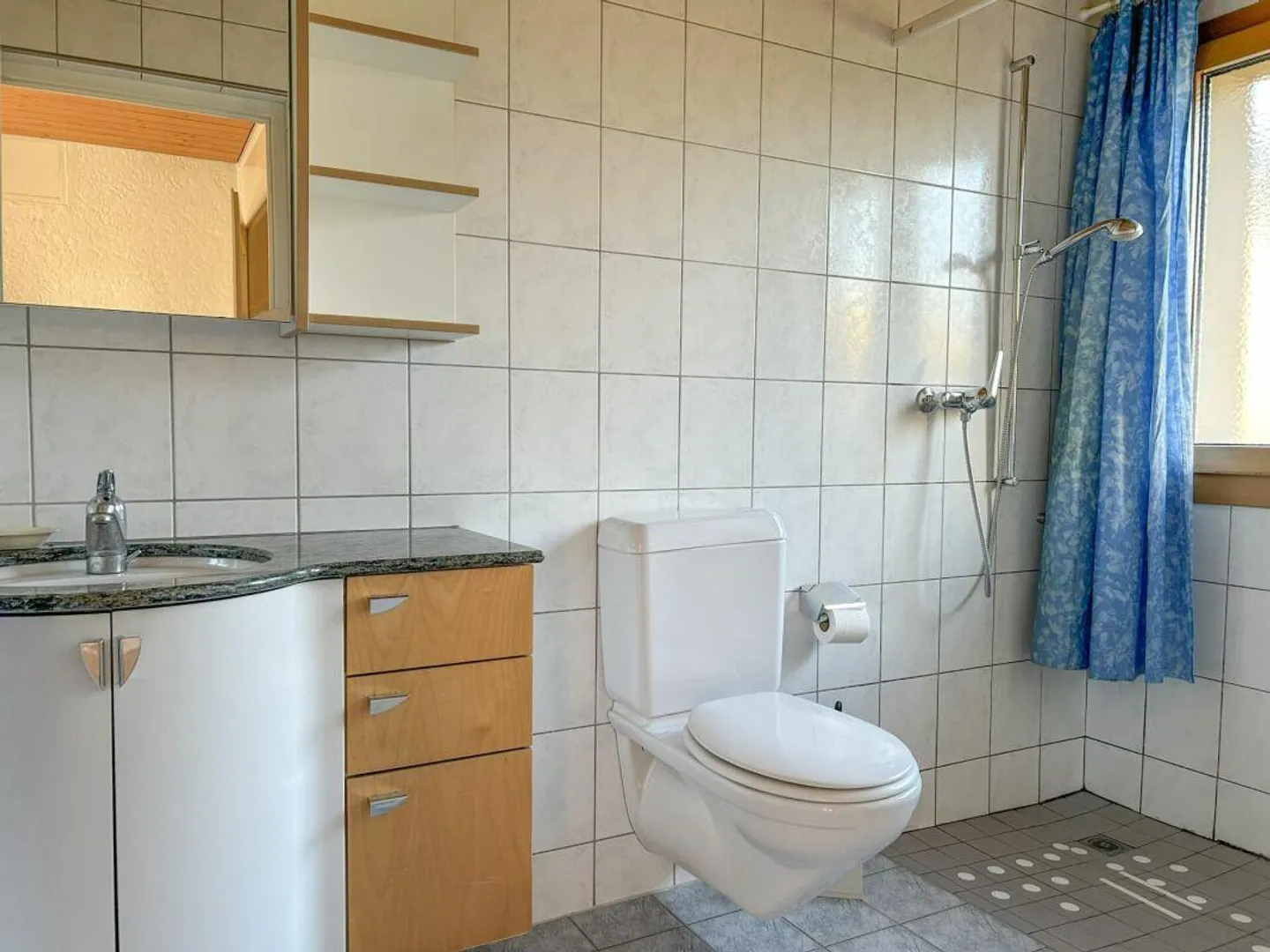 Detached Single-Family Home - Photo 9 of 12