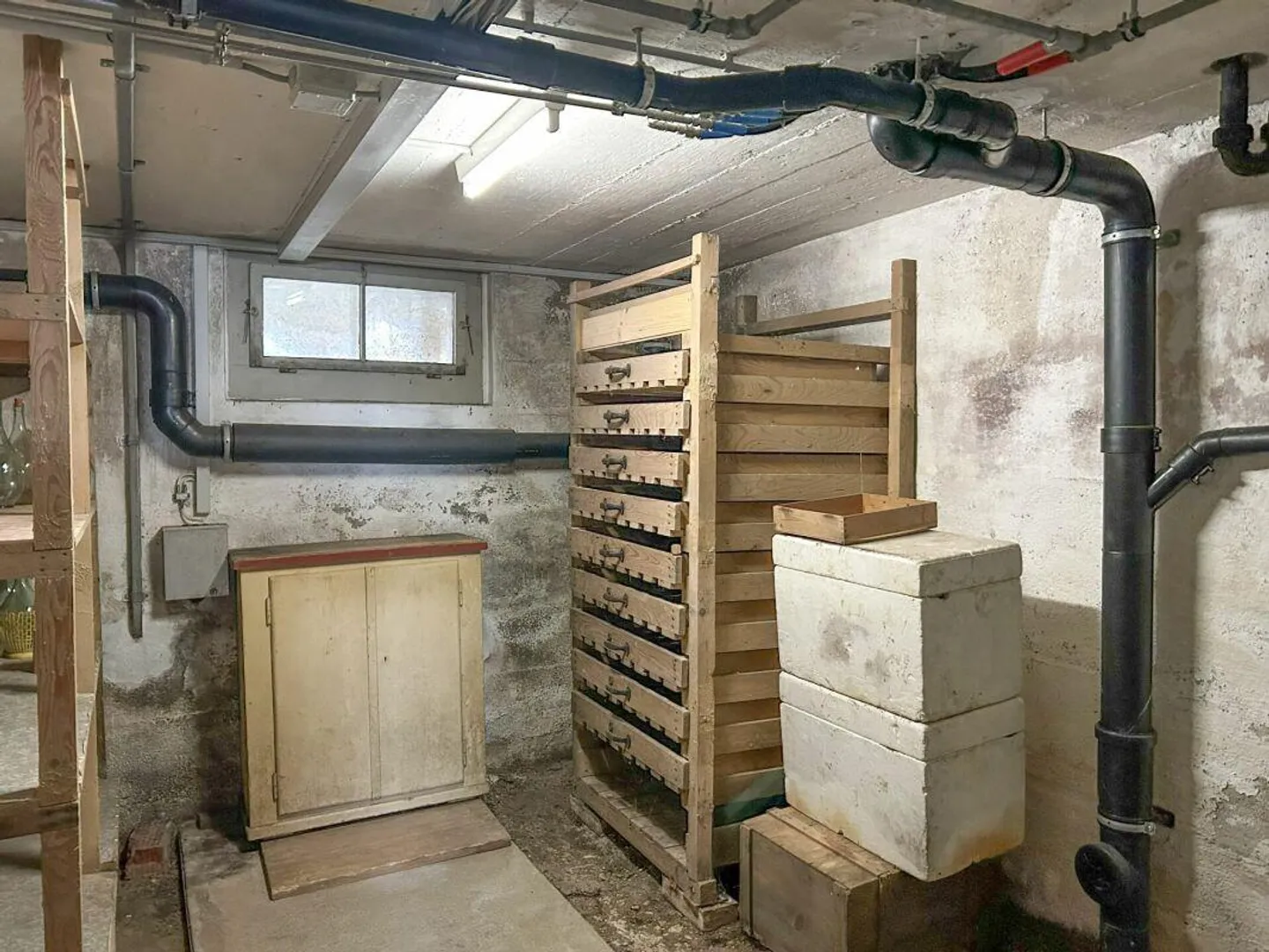 Detached Single-Family Home - Photo 12 of 12