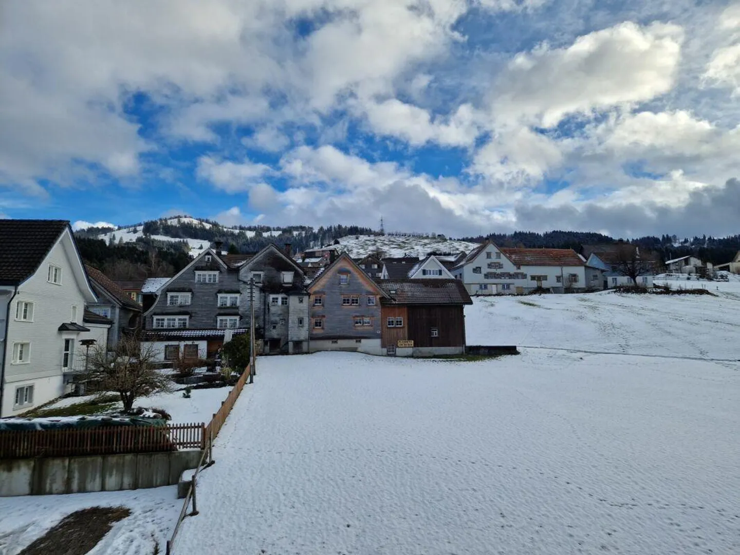 Vivre dans le vert ! - Photo 1 sur 8