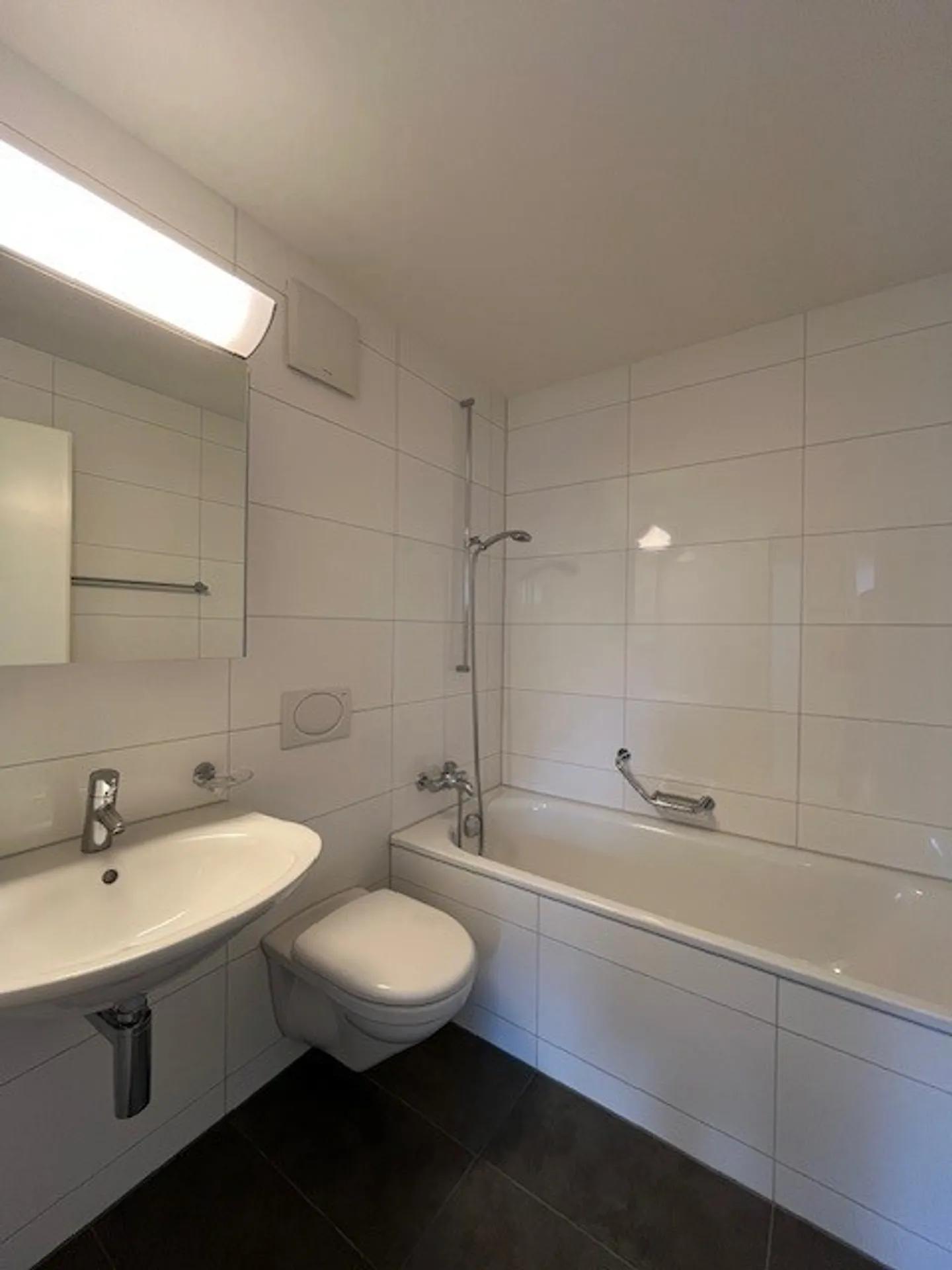 Appartamento familiare di 4,5 locali al piano terra con terrazza in affitto - Foto 3 di 13