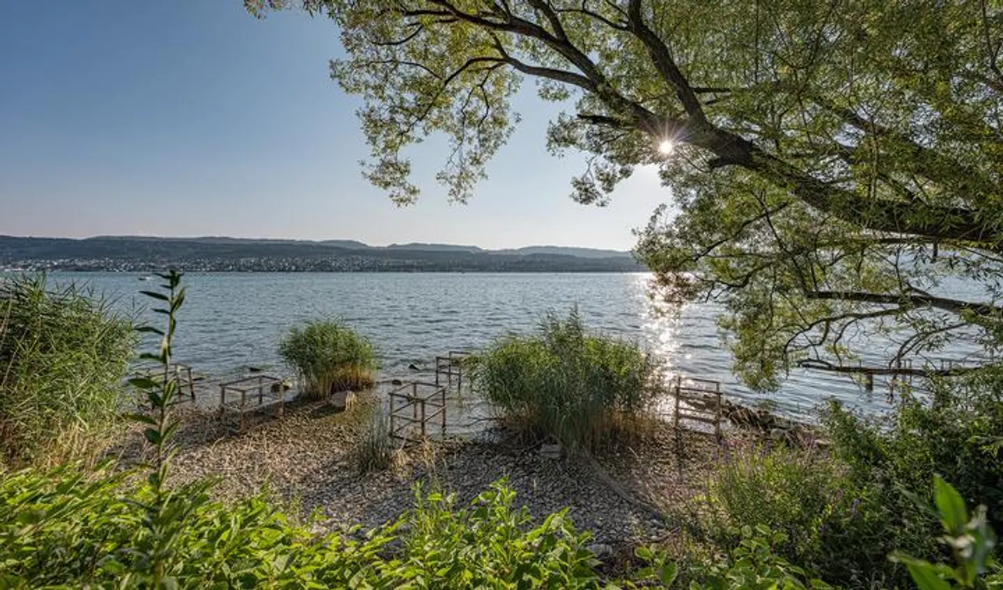 Attractive Building Plot in Feldmeilen - Photo 7 of 8