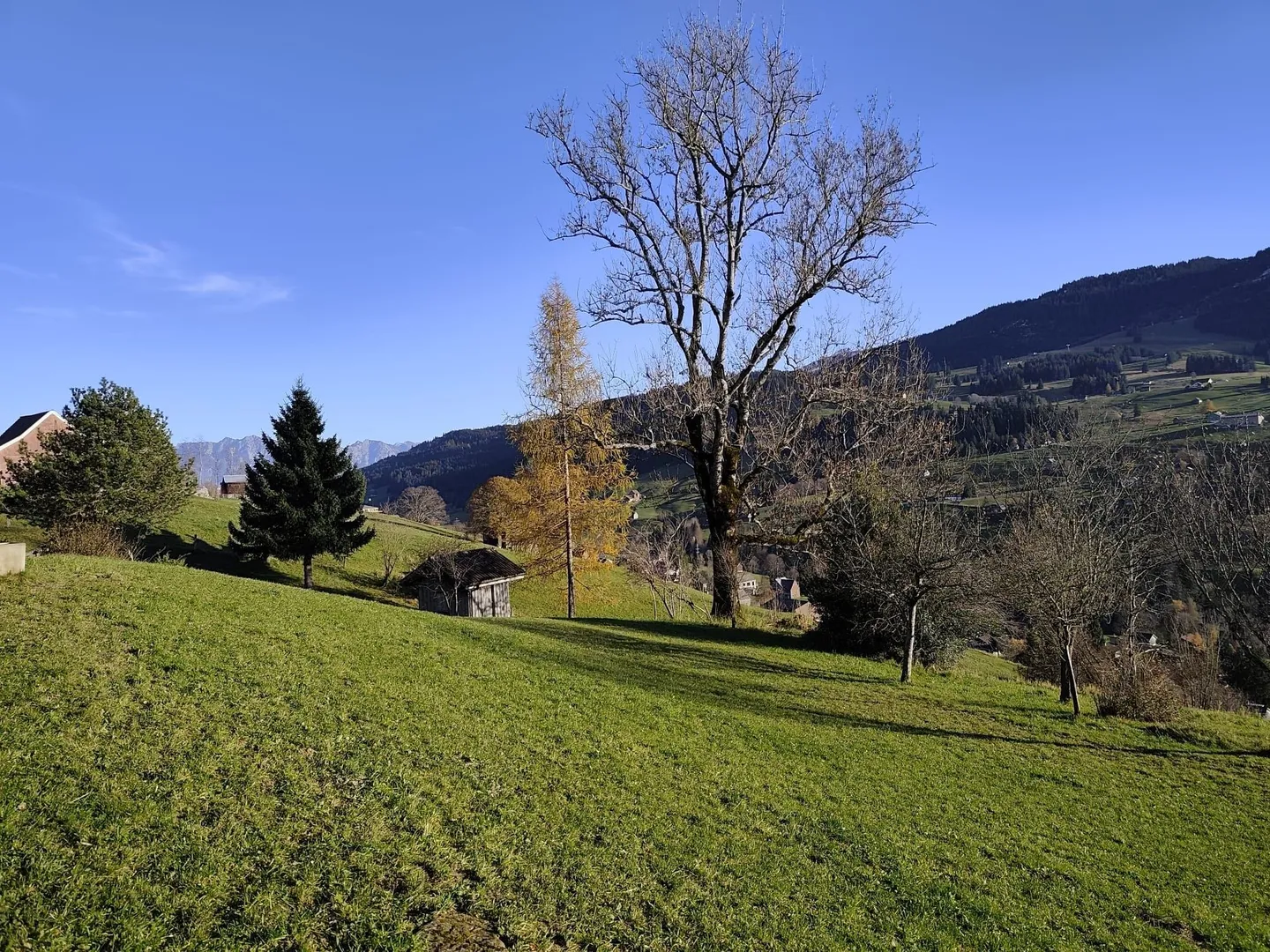 Bauernhof mieten - Foto 4 von 12