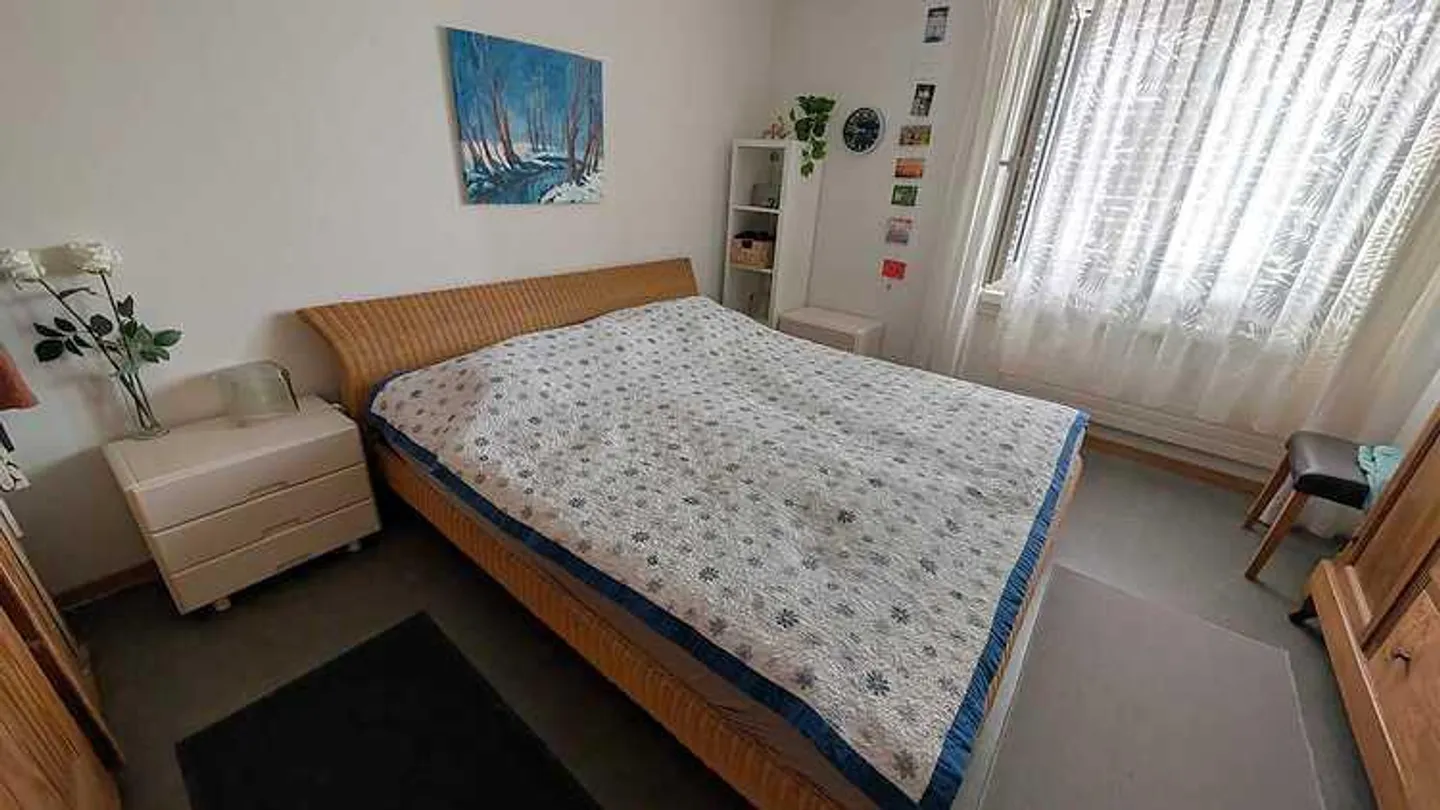 APPARTAMENTO 2½ STANZE A KREUZLINGEN (TG), ARREDATO, TEMPORANEO - Foto 3 di 5