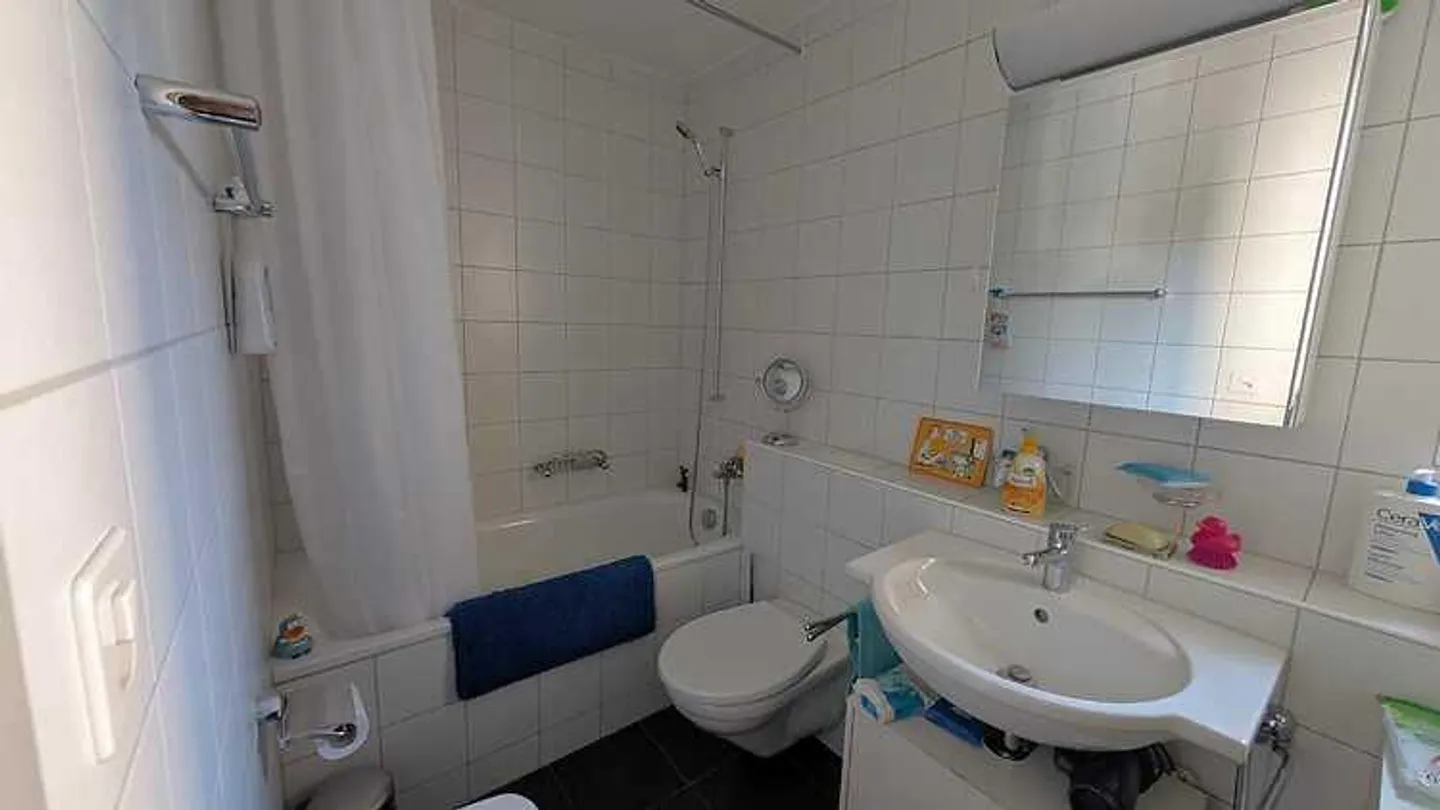 APPARTAMENTO 2½ STANZE A KREUZLINGEN (TG), ARREDATO, TEMPORANEO - Foto 4 di 5