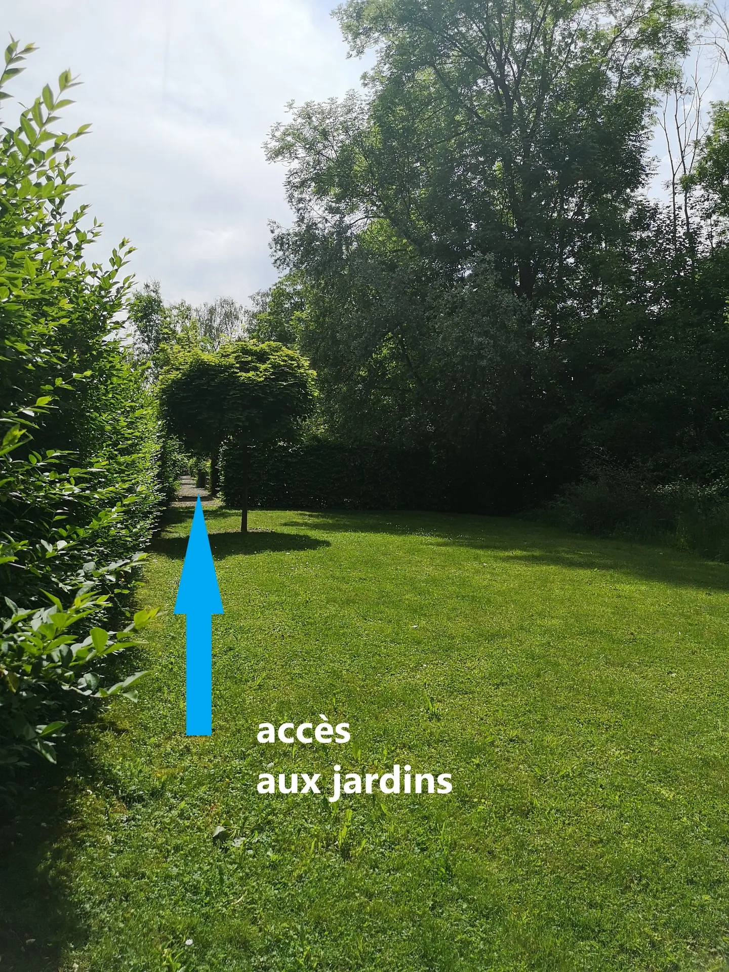 Belle duplex avec 4,5 pièces à Cudrefin, près du lac - Photo 8 sur 34