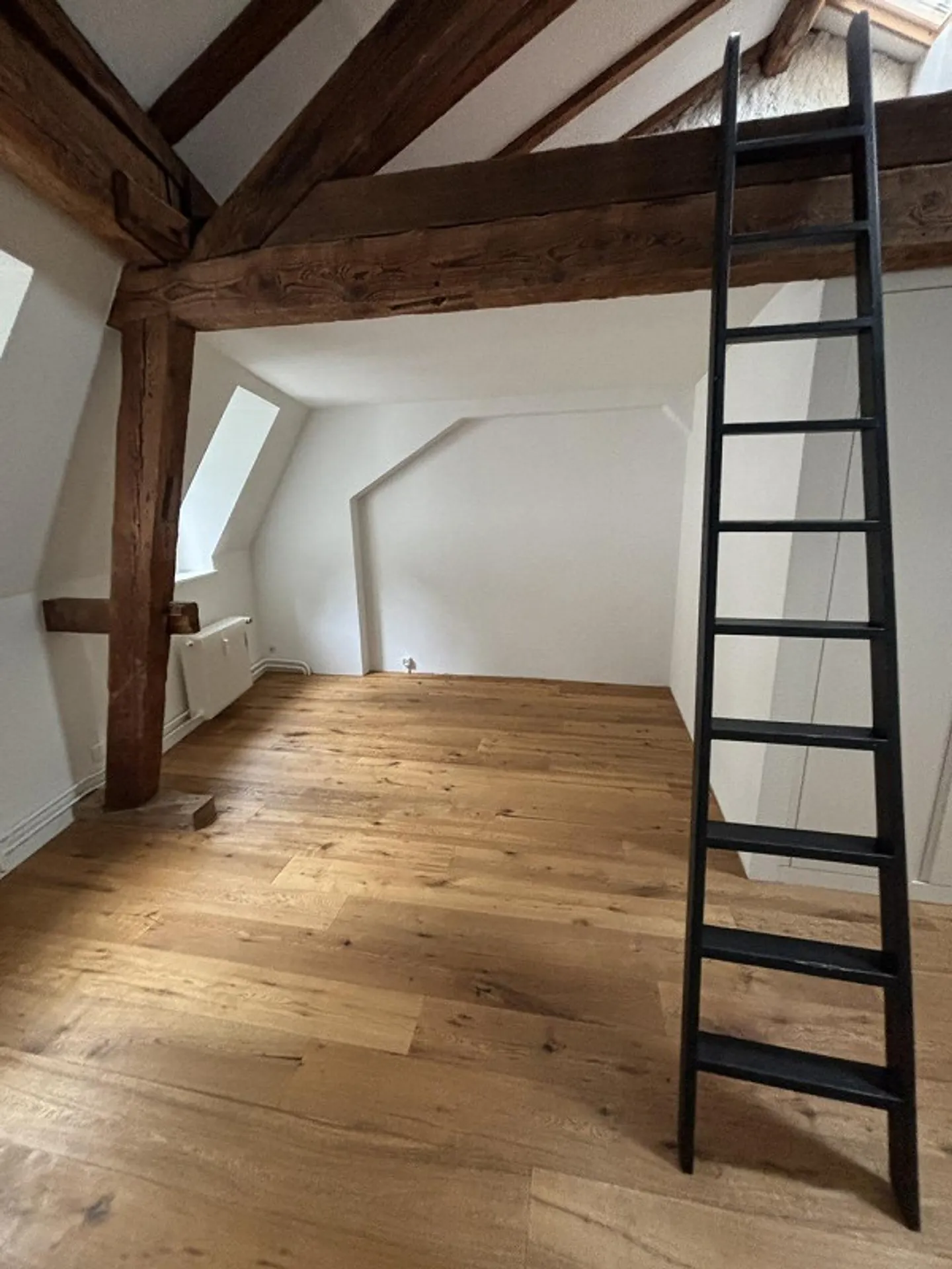 Investment Property in the Basel City Center - Photo 15 of 19