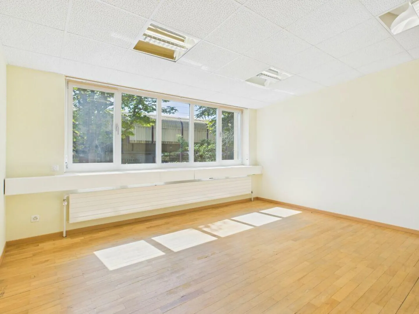 Versatile office/showroom or training rooms in the center of Wil - Photo 8 of 13