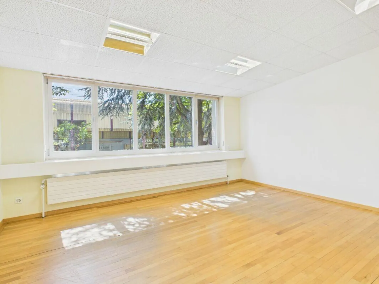 Versatile office/showroom or training rooms in the center of Wil - Photo 10 of 13
