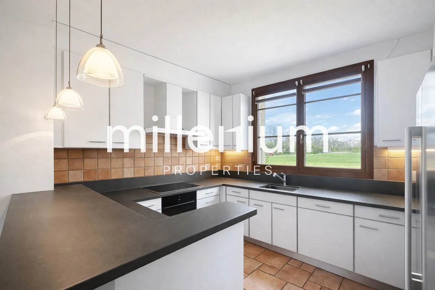 Appartement charmant dans une maison bourgeoise à Plan-les-Ouates - Photo 5 sur 6