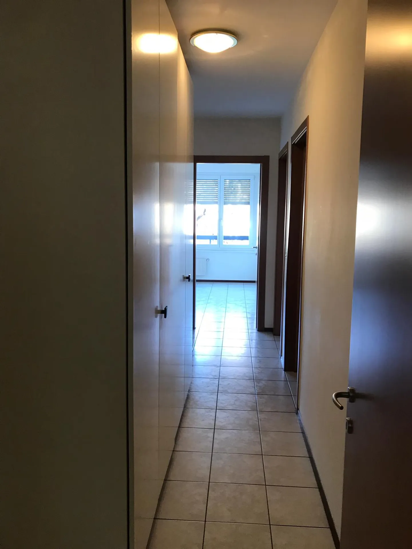 CHIASSO - APPARTAMENTO LUMINOSO DI 5 STANZE - Foto 2 di 5