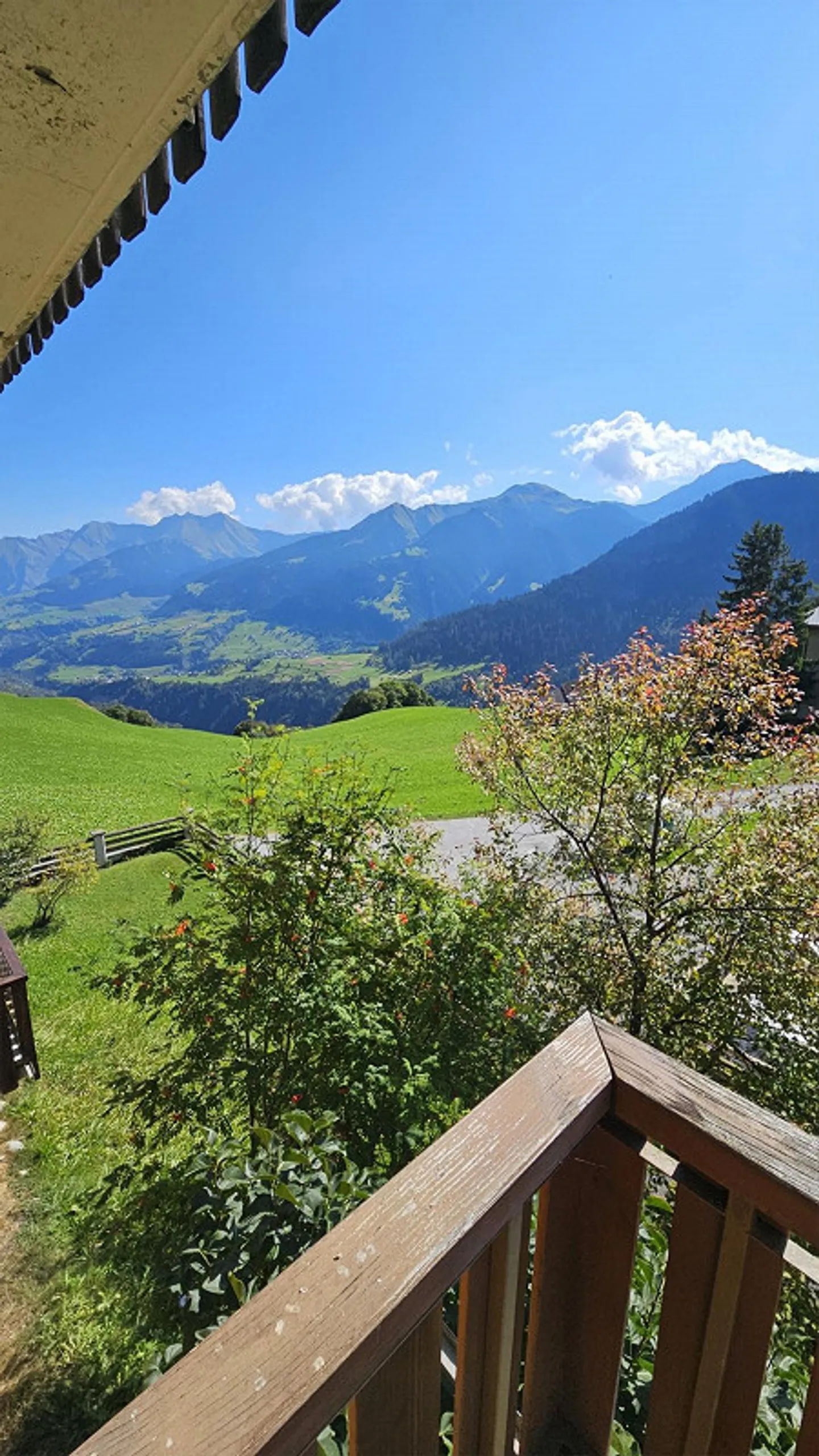 Appartement 2 1/2 pièces à Lumnezia avec une belle vue - Photo 2 sur 8