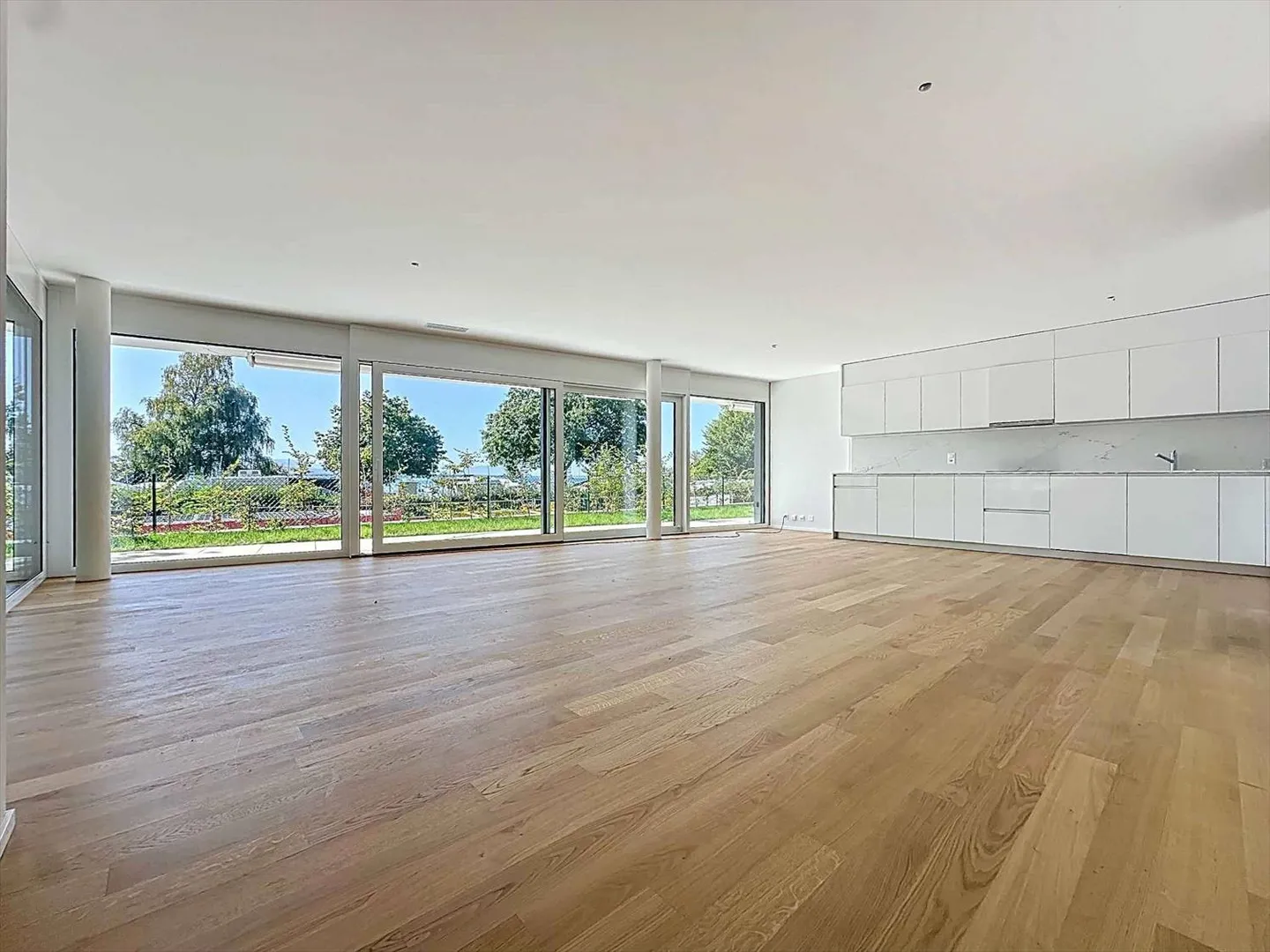 Eccezionale appartamento di 5,5 stanze al piano terra con terrazza e giardino privato - Foto 2 di 13