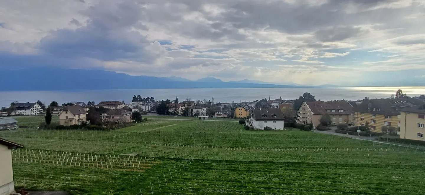 CHF 970'000. Pully, Losanna, Cugy. Diversi appartamenti in vendita - Foto 11 di 11