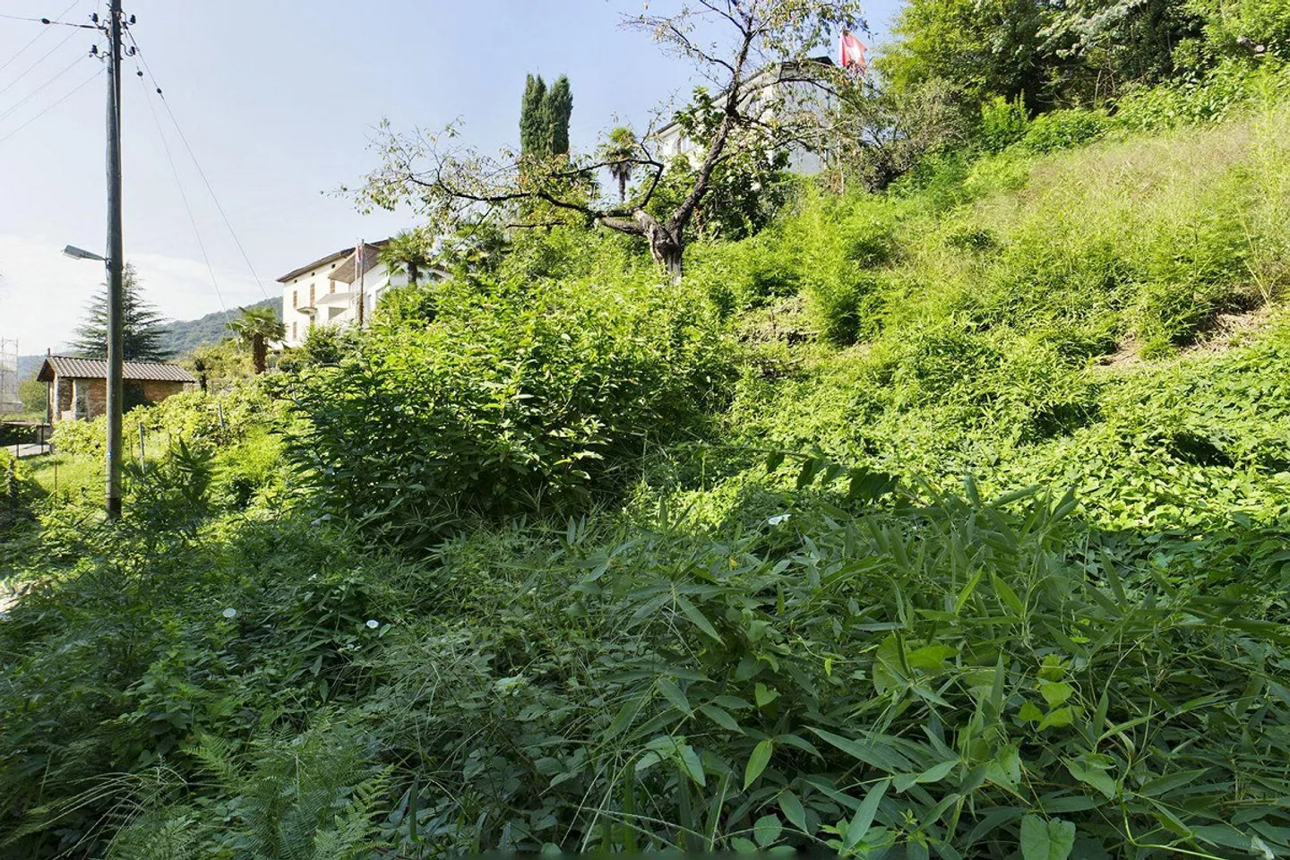 Sessa VN 119001001-1907 | Building plot ideal for those seeking tranquility - Photo 4 of 5