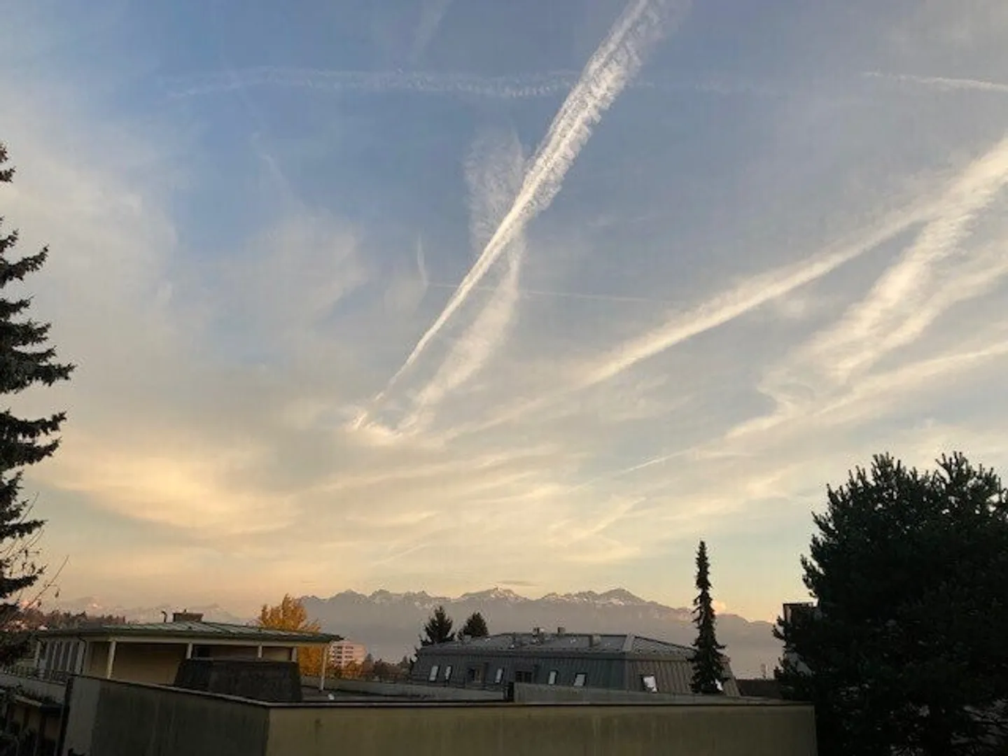 Incantevole appartamento di 3,5 locali ristrutturato con gusto a Losanna - Foto 2 di 5