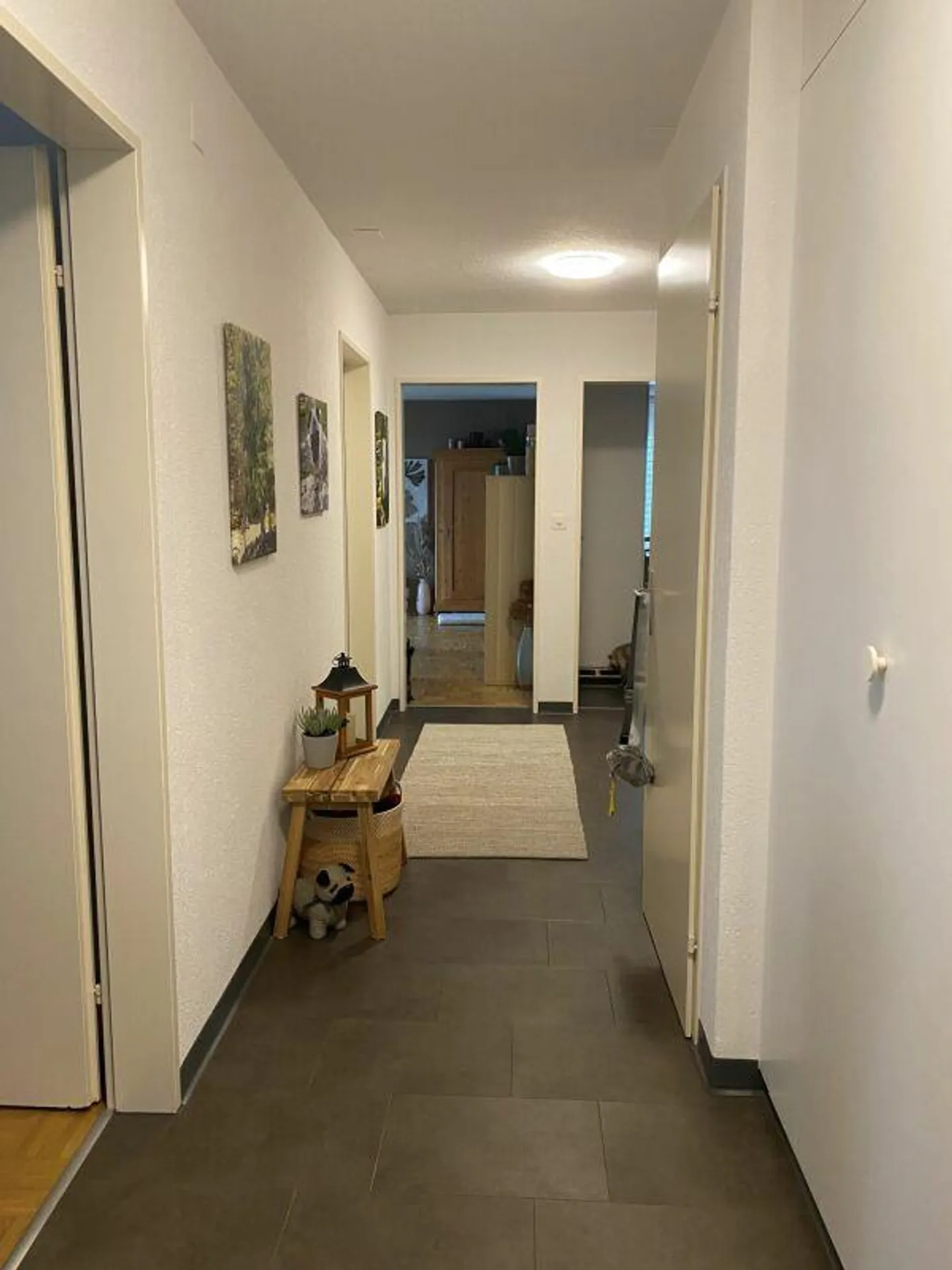 Appartamento da sogno a Rorschacherberg - Pace, Comfort e Qualità della Vita - Foto 2 di 6