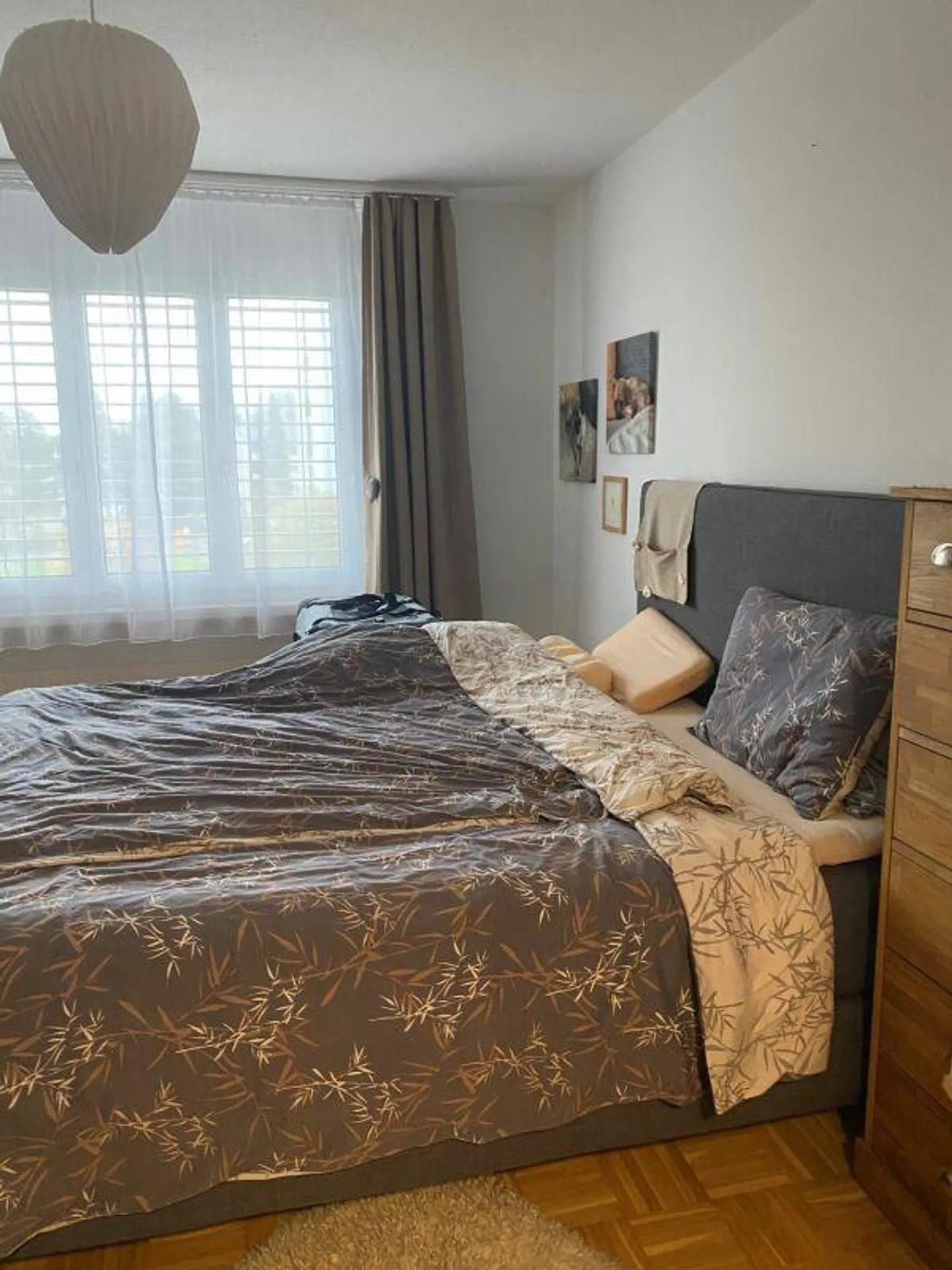 Appartamento da sogno a Rorschacherberg - Pace, Comfort e Qualità della Vita - Foto 5 di 6