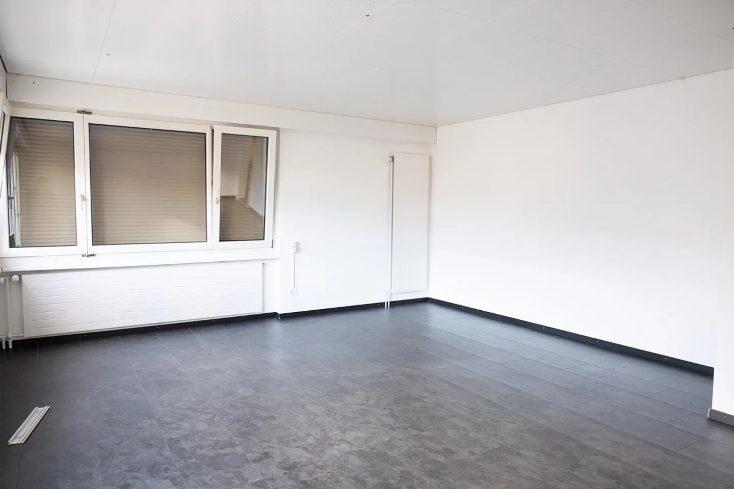 9 Room Single Family House (Generational House) for Rent - Photo 3 of 17