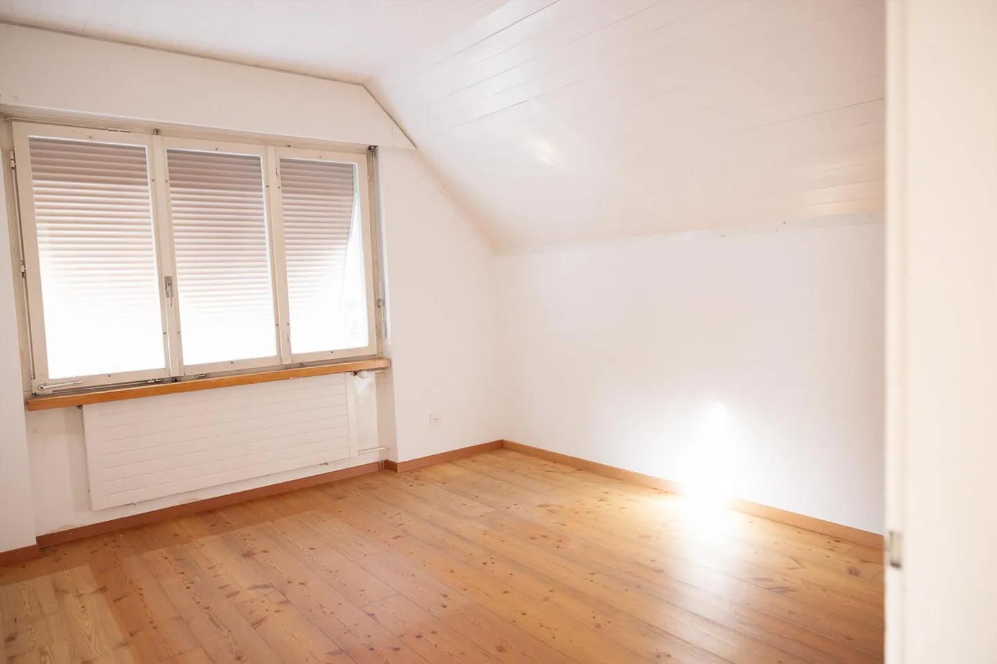 9 Room Single Family House (Generational House) for Rent - Photo 13 of 17