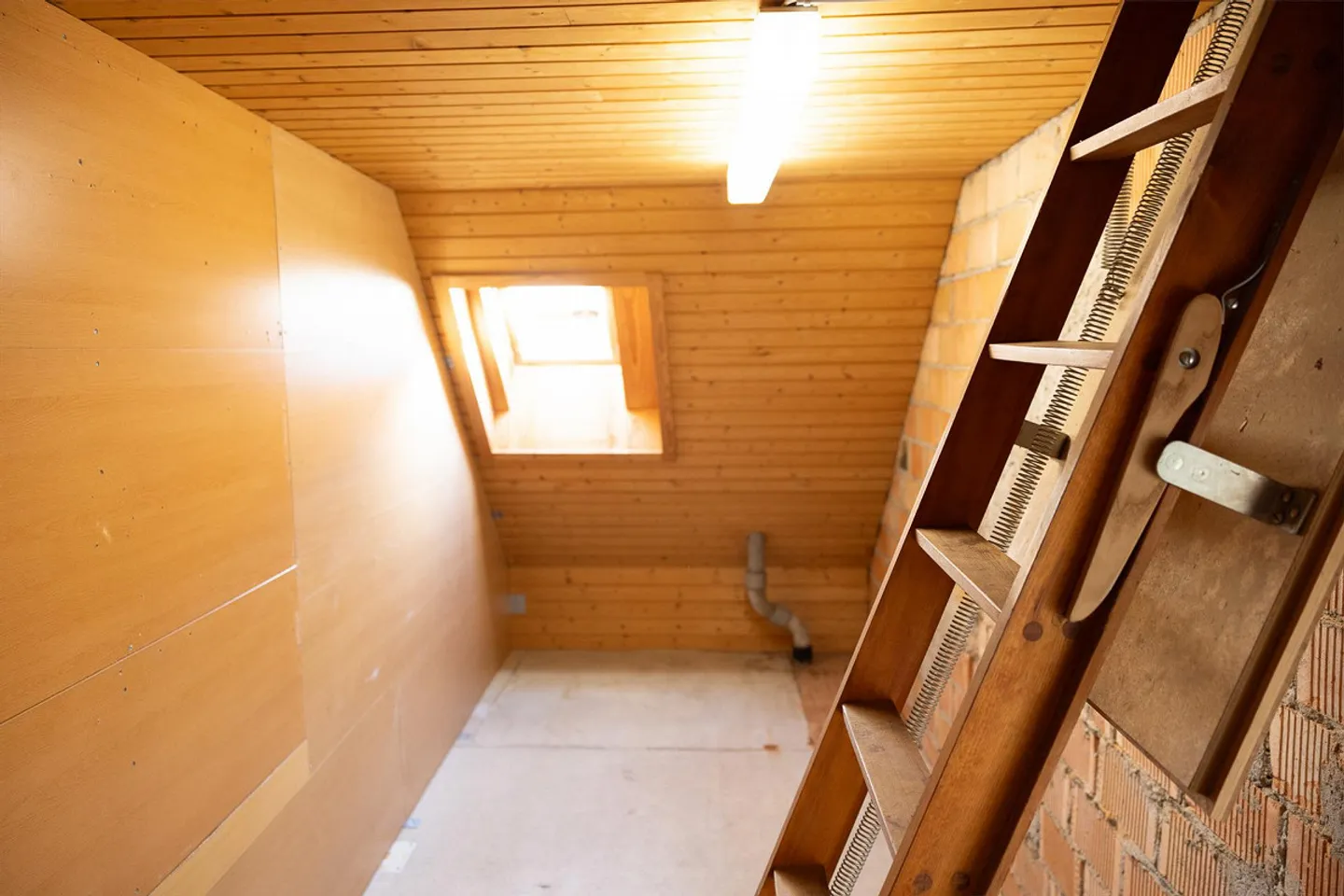 9 Room Single Family House (Generational House) for Rent - Photo 17 of 17