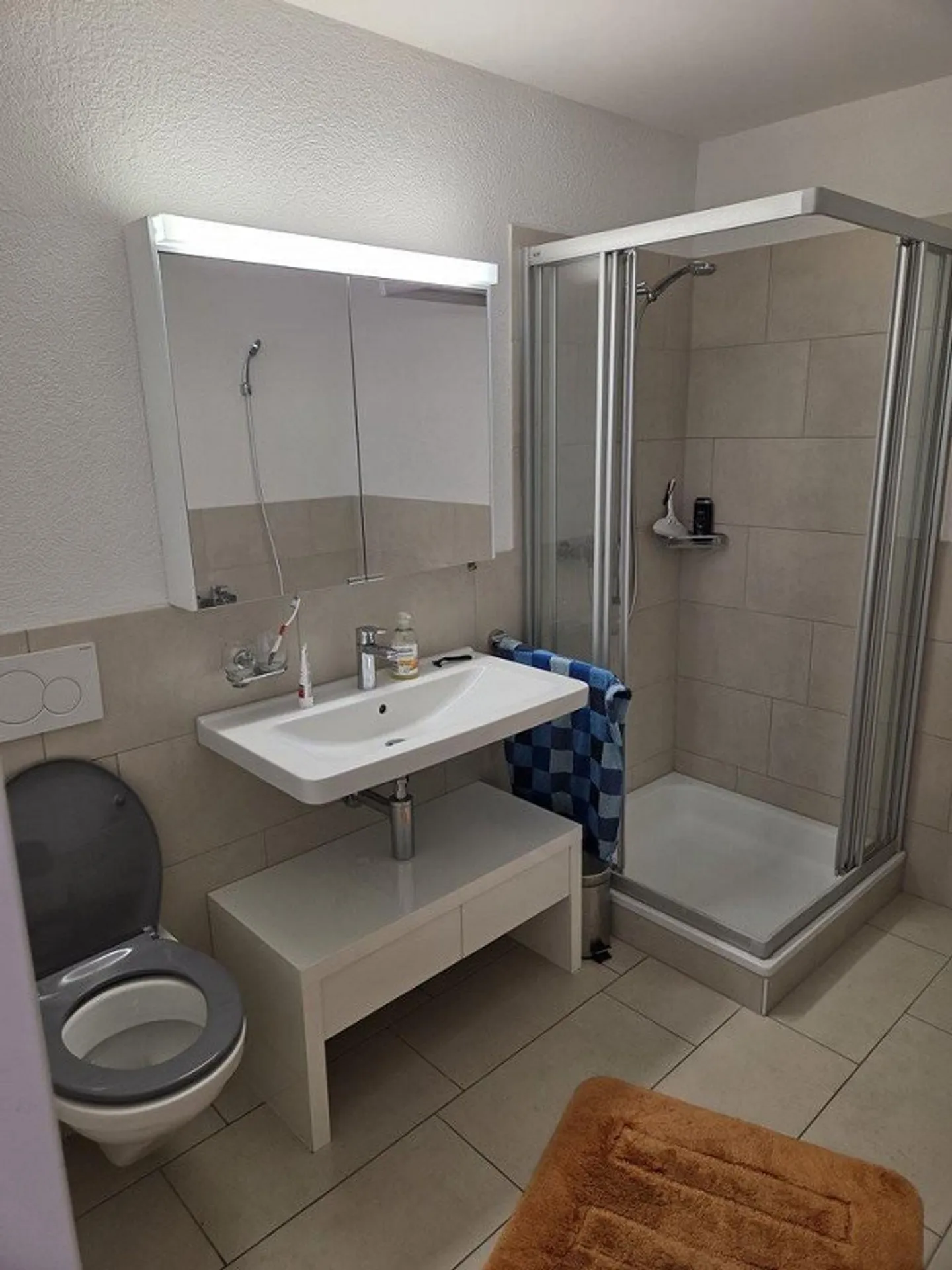 Appartement lumineux de 3,5 pièces au bord du Rhin - Vivre à Eglisau avec charme - Photo 6 sur 7