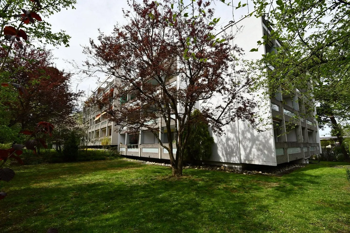 Geräumige Wohnung mit Grünblick - Foto 4 von 5