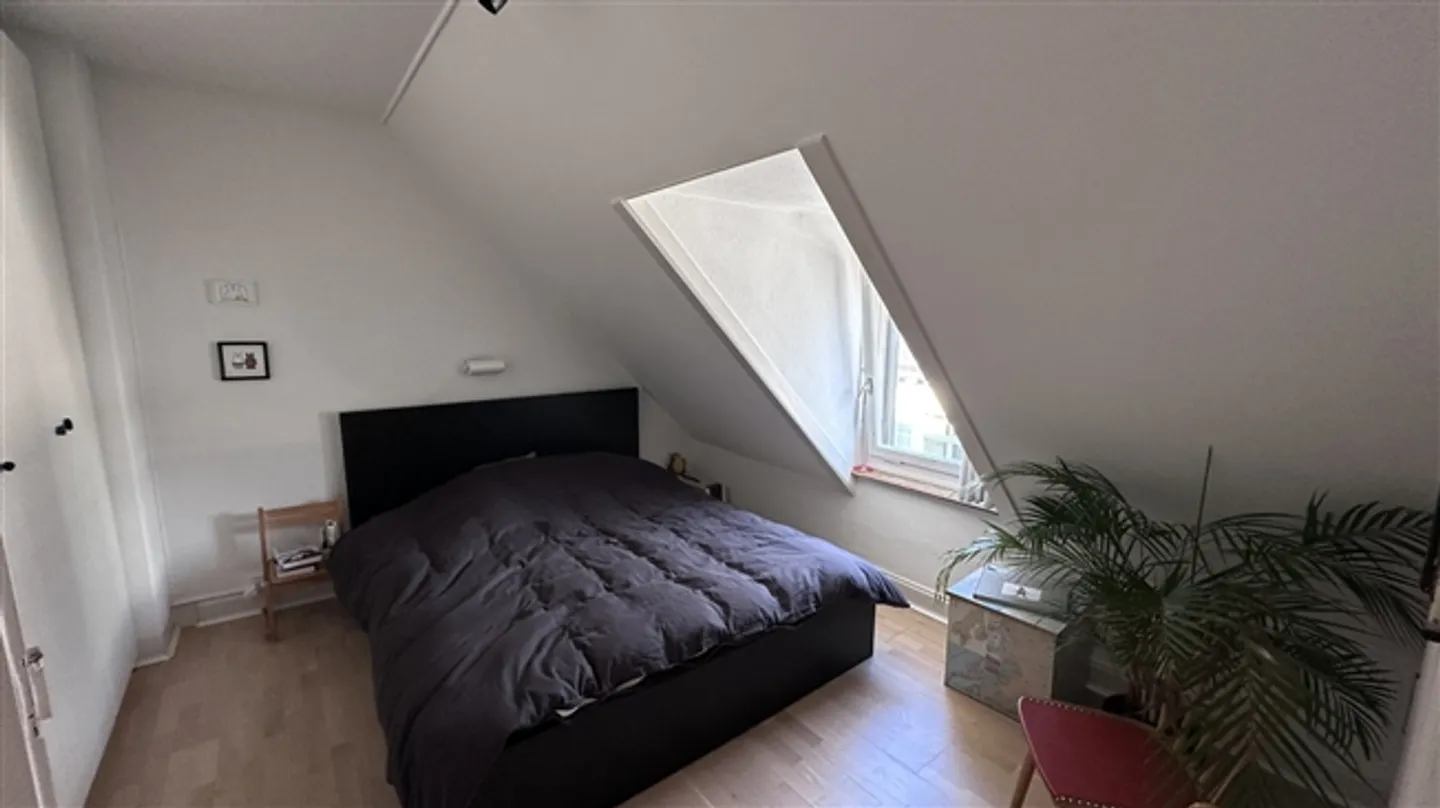 Appartamento 2 locali a Zurigo - Kreis 8 Riesbach, arredato, temporaneo - Foto 4 di 9