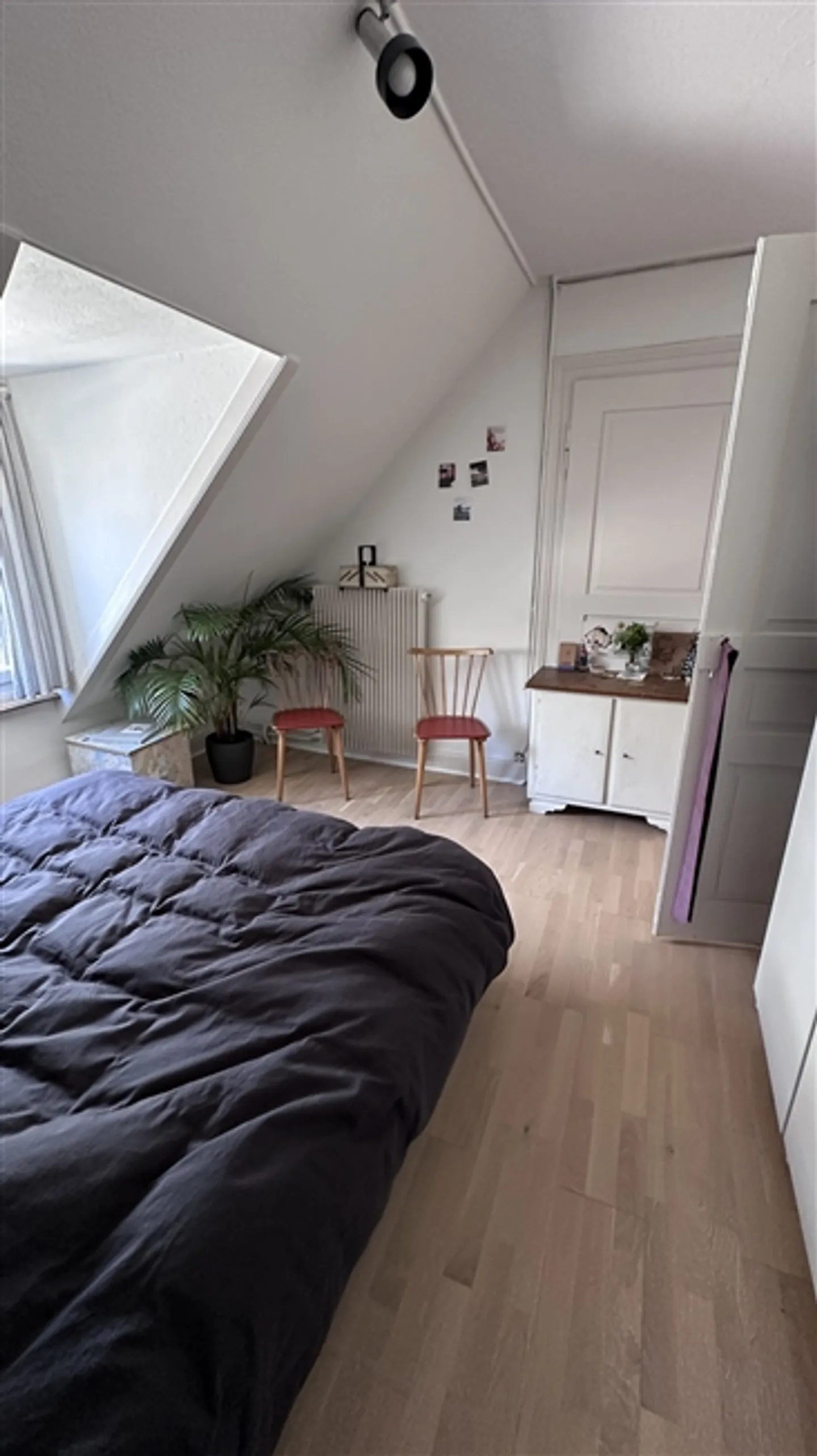 Appartamento 2 locali a Zurigo - Kreis 8 Riesbach, arredato, temporaneo - Foto 5 di 9