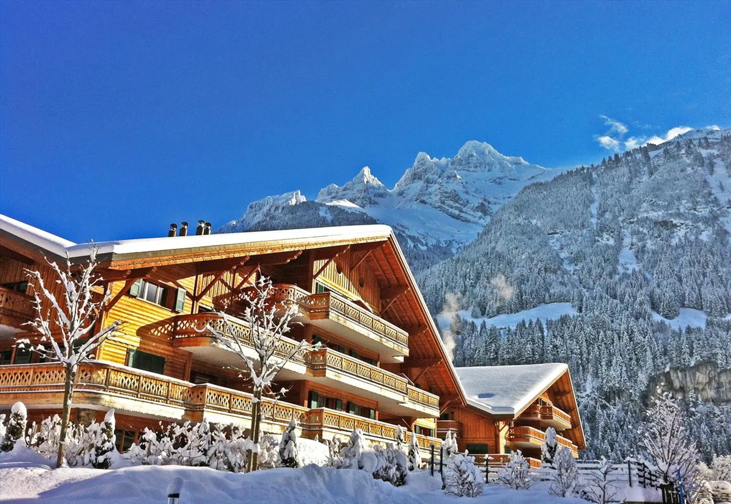 Slendide appartement au coeur de Champéry, village traditionnel des Alpes suisses, et du très renommé domaine des Portes du Soleil. Ce vaste et luxueux appartement propose de magnifiques vues impre … - Photo 1 sur 9