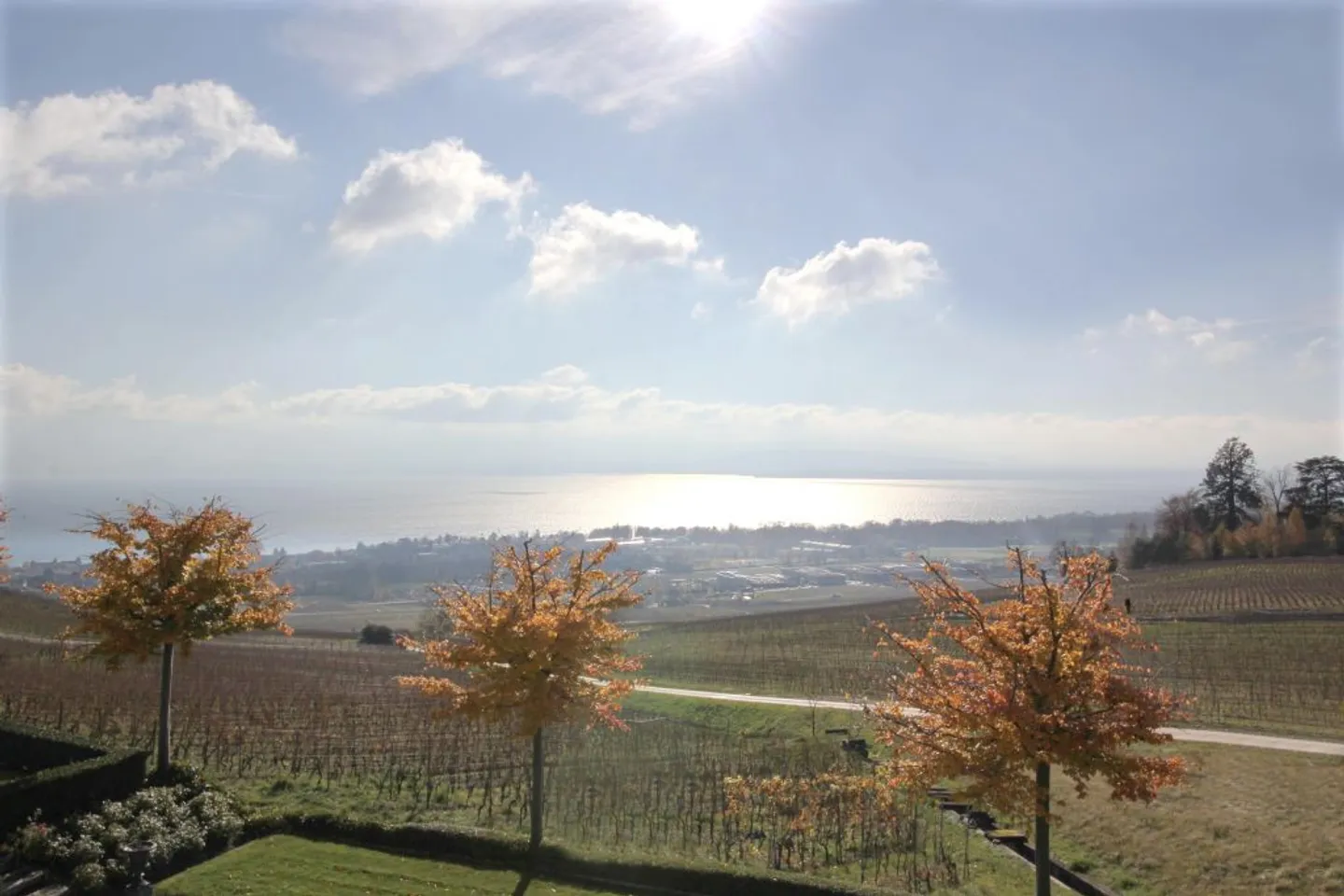 Rare and unique situation on the real estate market in the region. - Photo 8 of 11