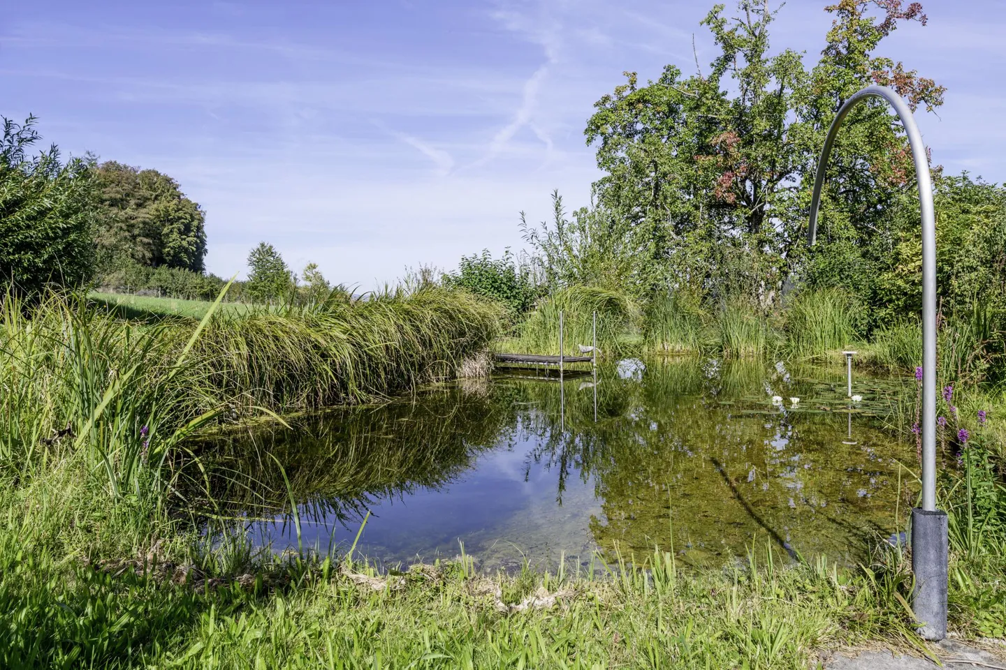 Farmhouse on the edge of the forest with swimming pond and its own spring - Photo 14 of 16