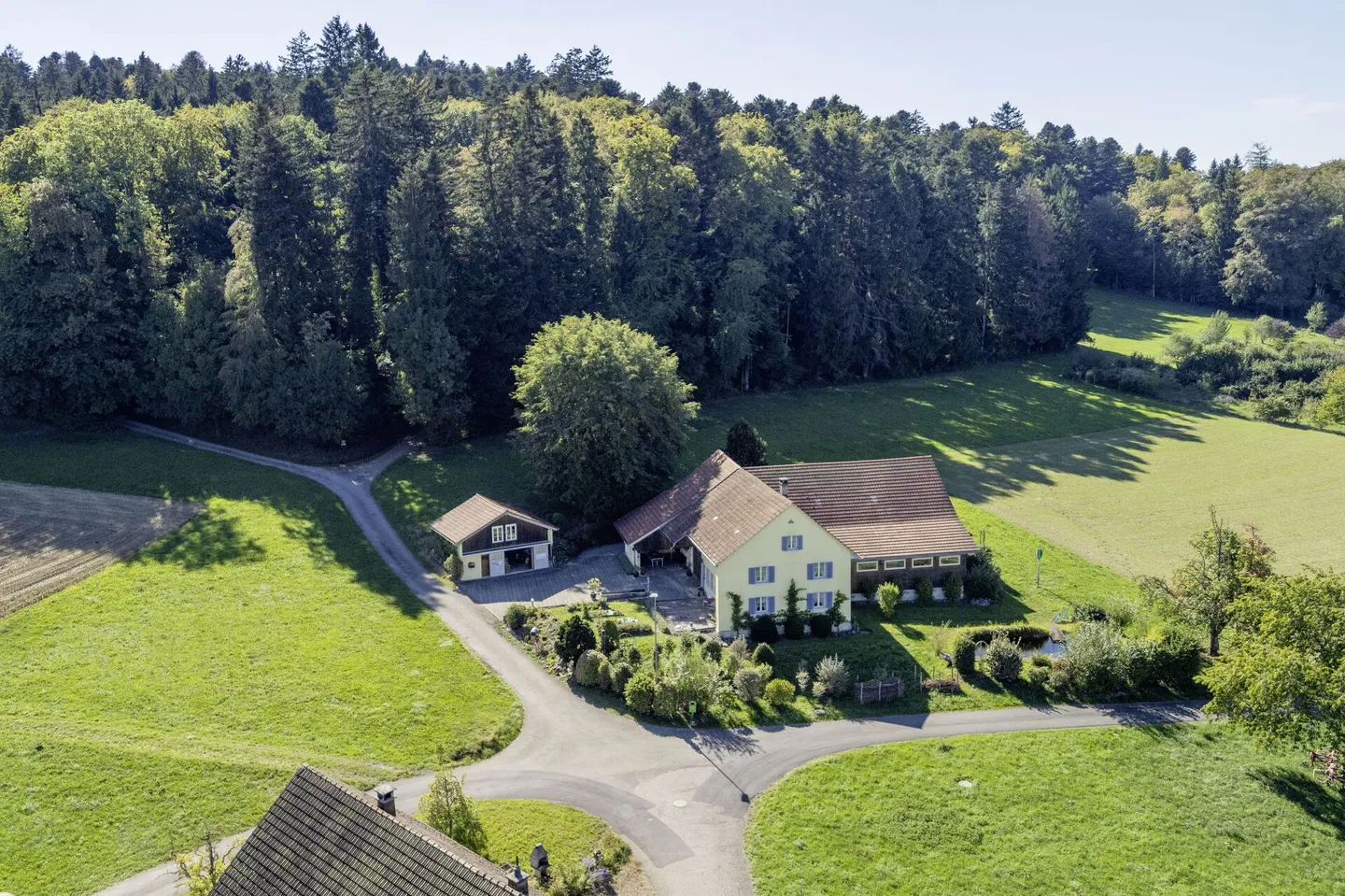 Farmhouse on the edge of the forest with swimming pond and its own spring - Photo 15 of 16