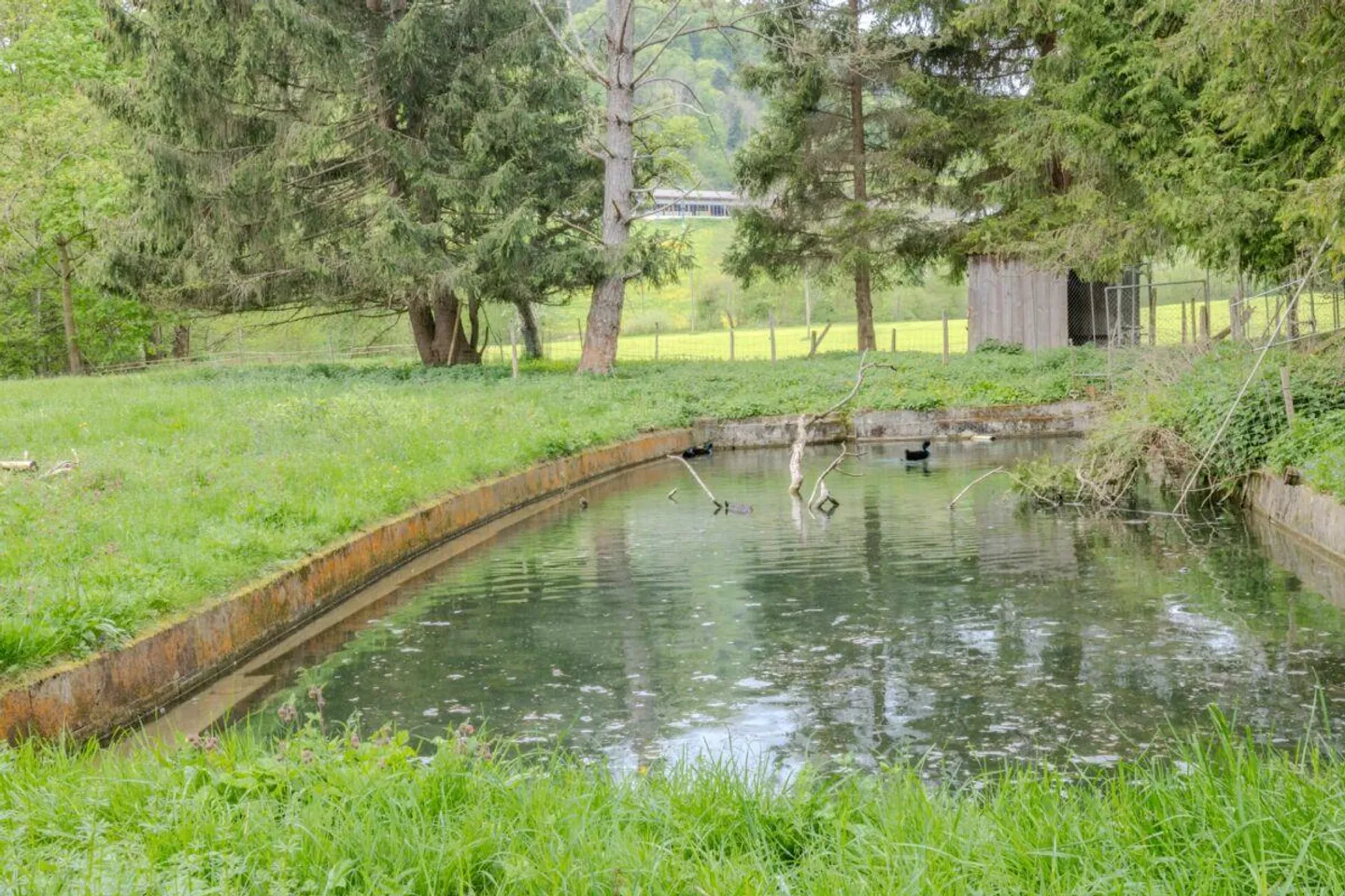 The Dream of Owning a Farm - Well-maintained 6.5 Z' EFH with Stable, Pond... - Photo 11 of 13