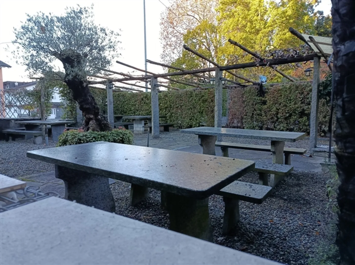 SAN NAZZARO - Proprietà con ristorante e 2 appartamenti in vendita - Foto 18 di 20