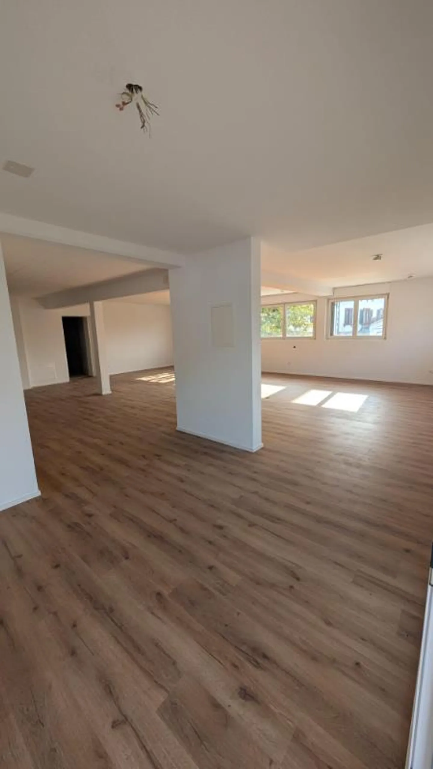 Bureau - Photo 3 sur 4