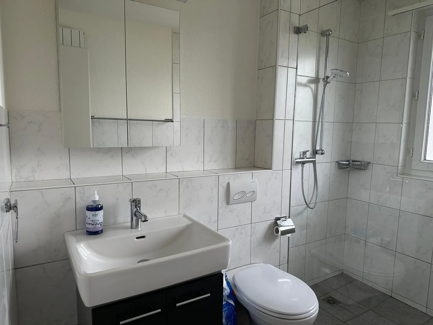 4.5 room apartment in a two-family house - Photo 11 of 12