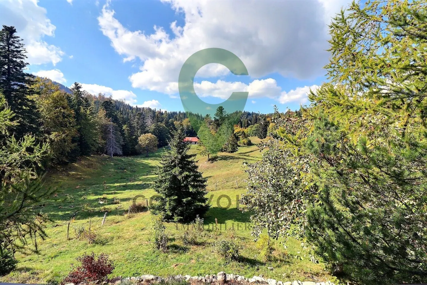 Die Natur vor der Tür Ihres individuellen Chalets - Foto 5 von 20