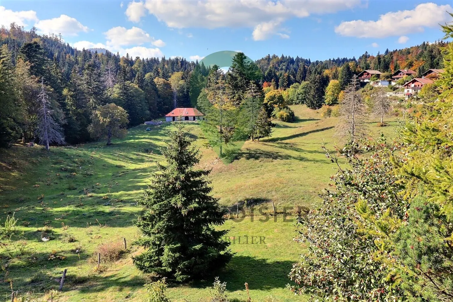 Die Natur vor der Tür Ihres individuellen Chalets - Foto 8 von 20