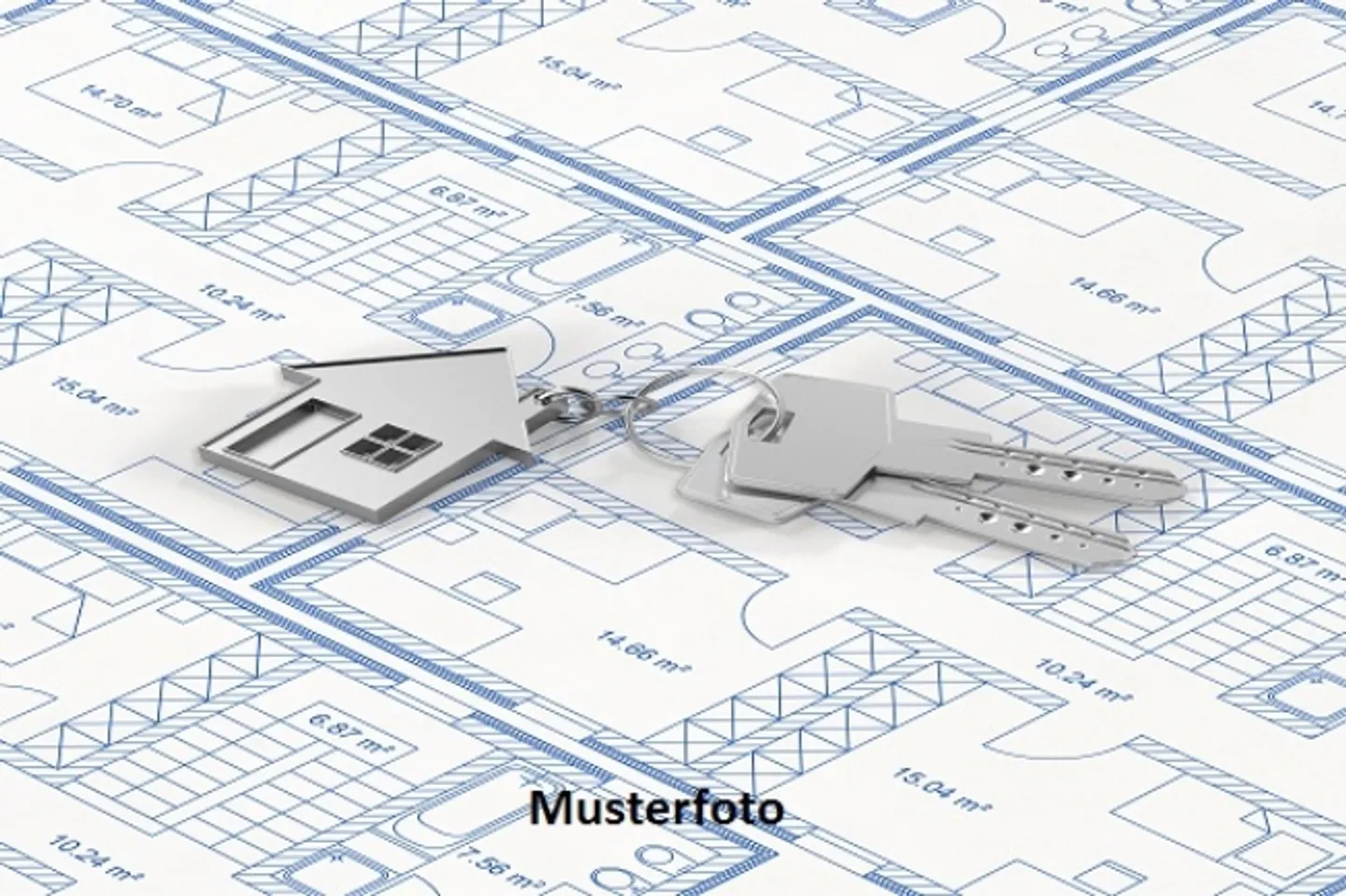 *Terrain, humus* - Photo 1 sur 1