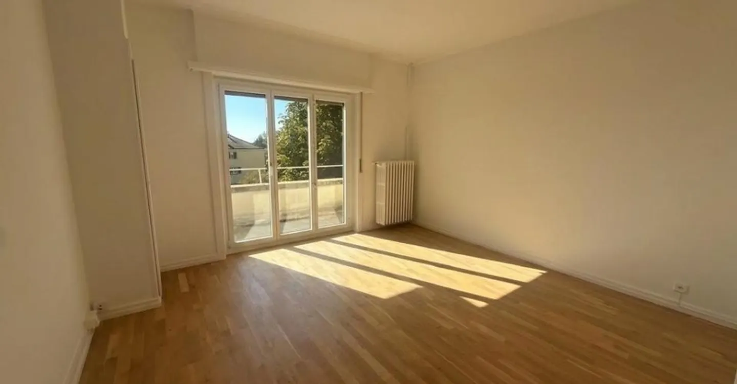 Beautiful apartment under renovation just steps from Valency Park - Photo 4 of 6