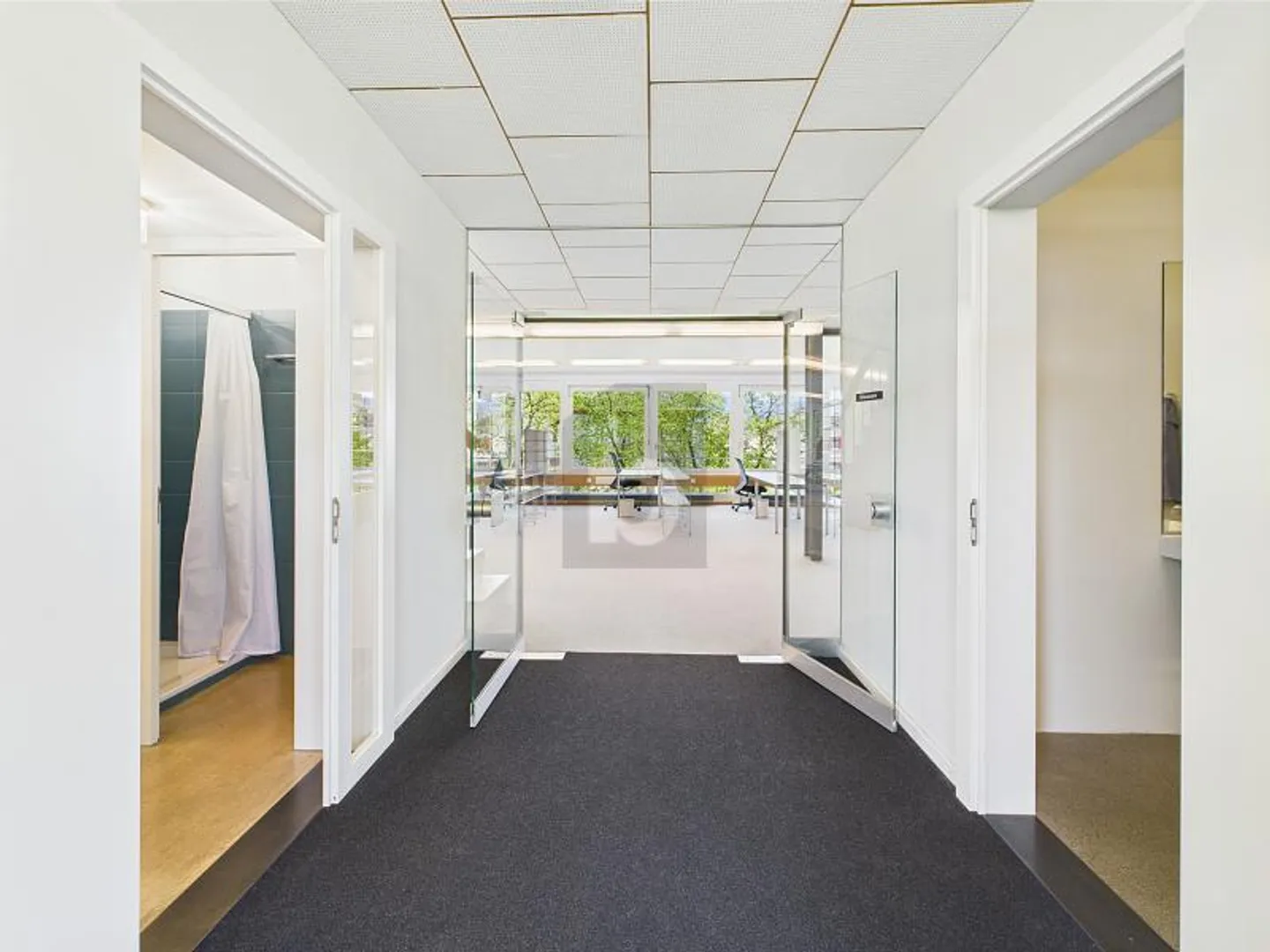 OFFEN, HELL, ZENTRAL - Foto 1 von 6