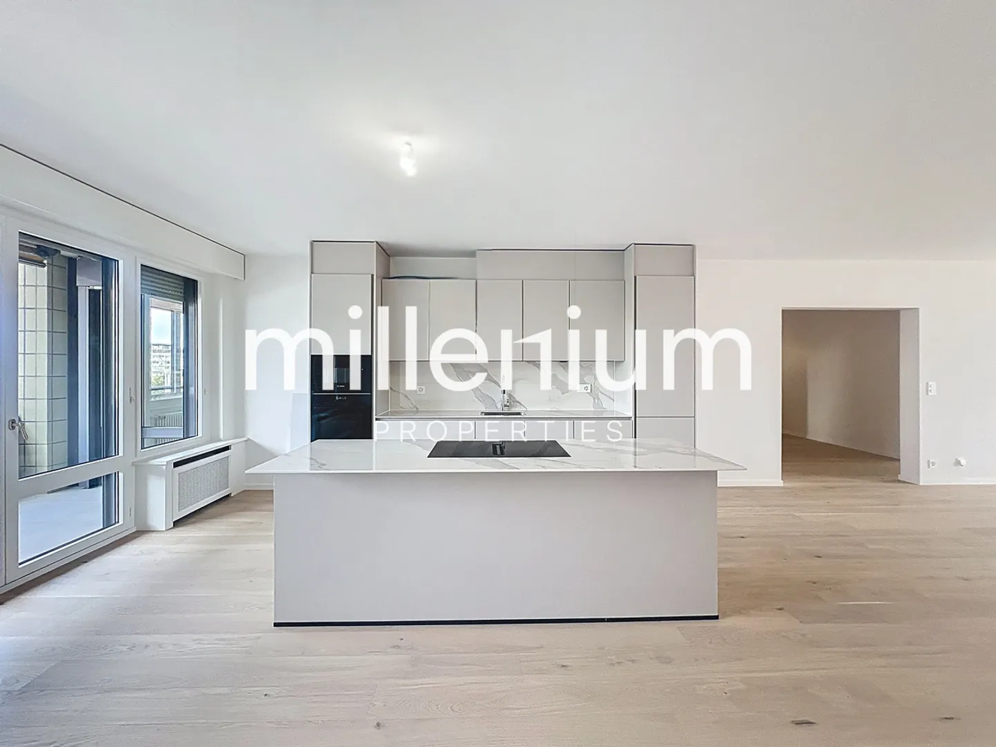 Extraordinary apartment, completely renovated, on Quai du Seujet - Photo 5 of 19