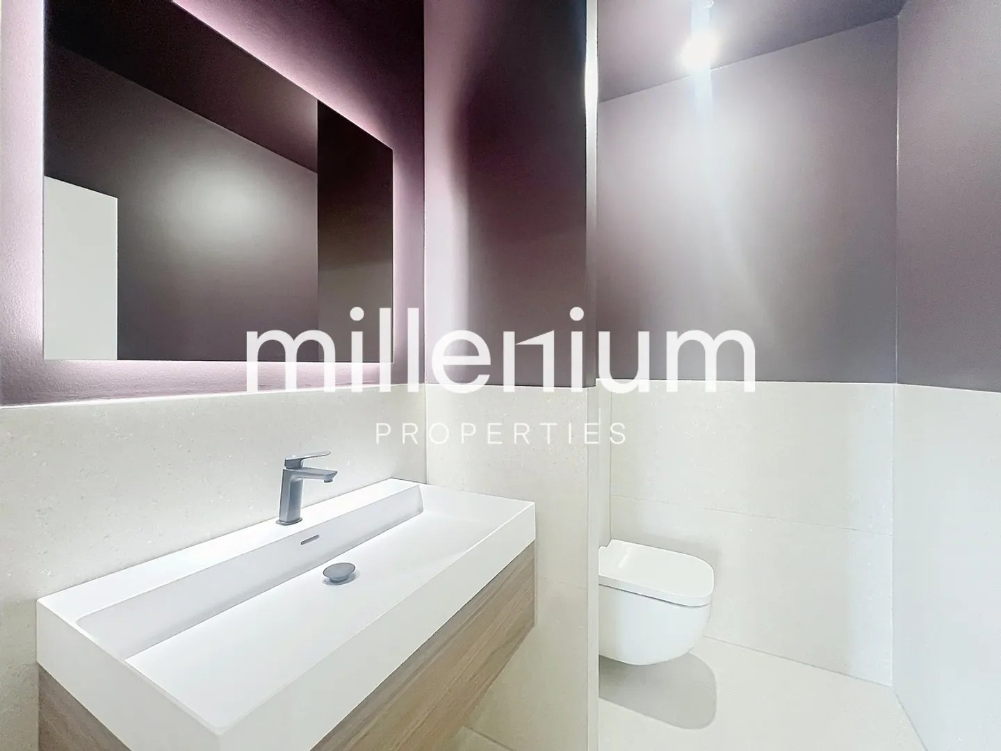 Extraordinary apartment, completely renovated, on Quai du Seujet - Photo 16 of 19