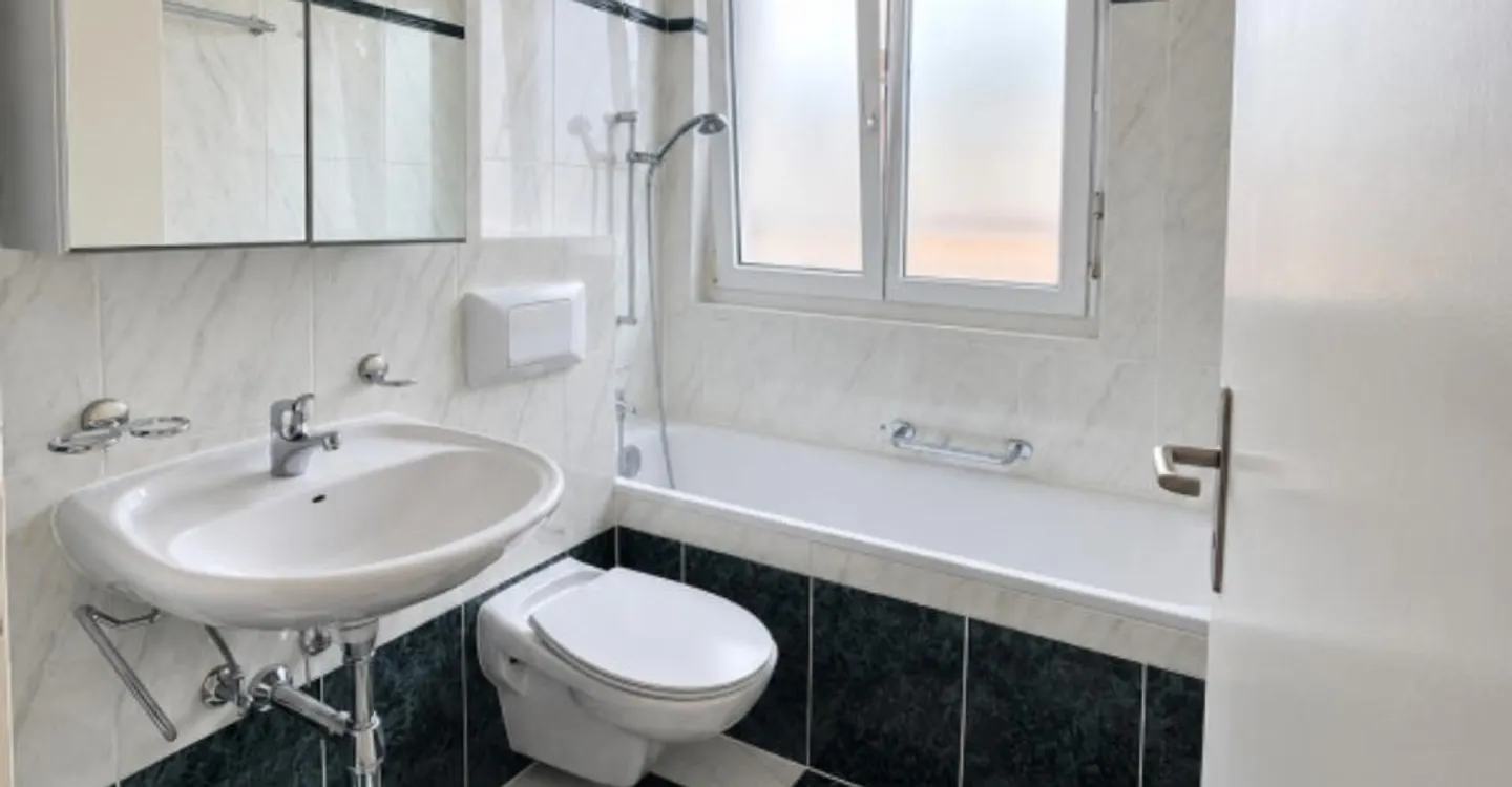 Appartement rénové avec vue Jura - Photo 5 sur 6